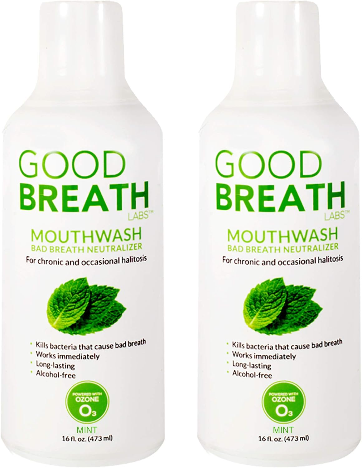Goodbreath Labs Mouthwash | New one Technology Specialized in Chronic Halitosis | Mouth Rinse Alcohol Free | Bad Breath Neutralizer | Mint avor Oral Rinse for Gum Disease ((2 Pack) 16 )