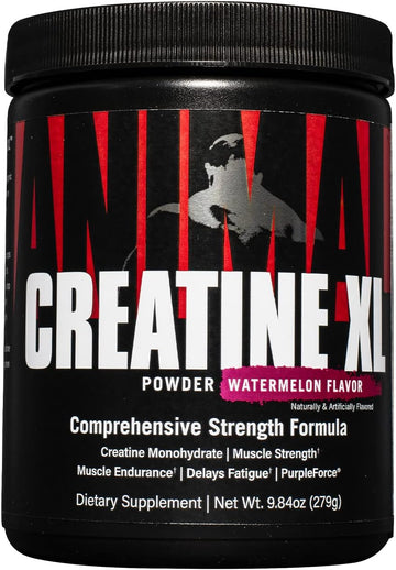 Animal Creatine XL Powder ? Enhanced Creatine Monohydrate Su