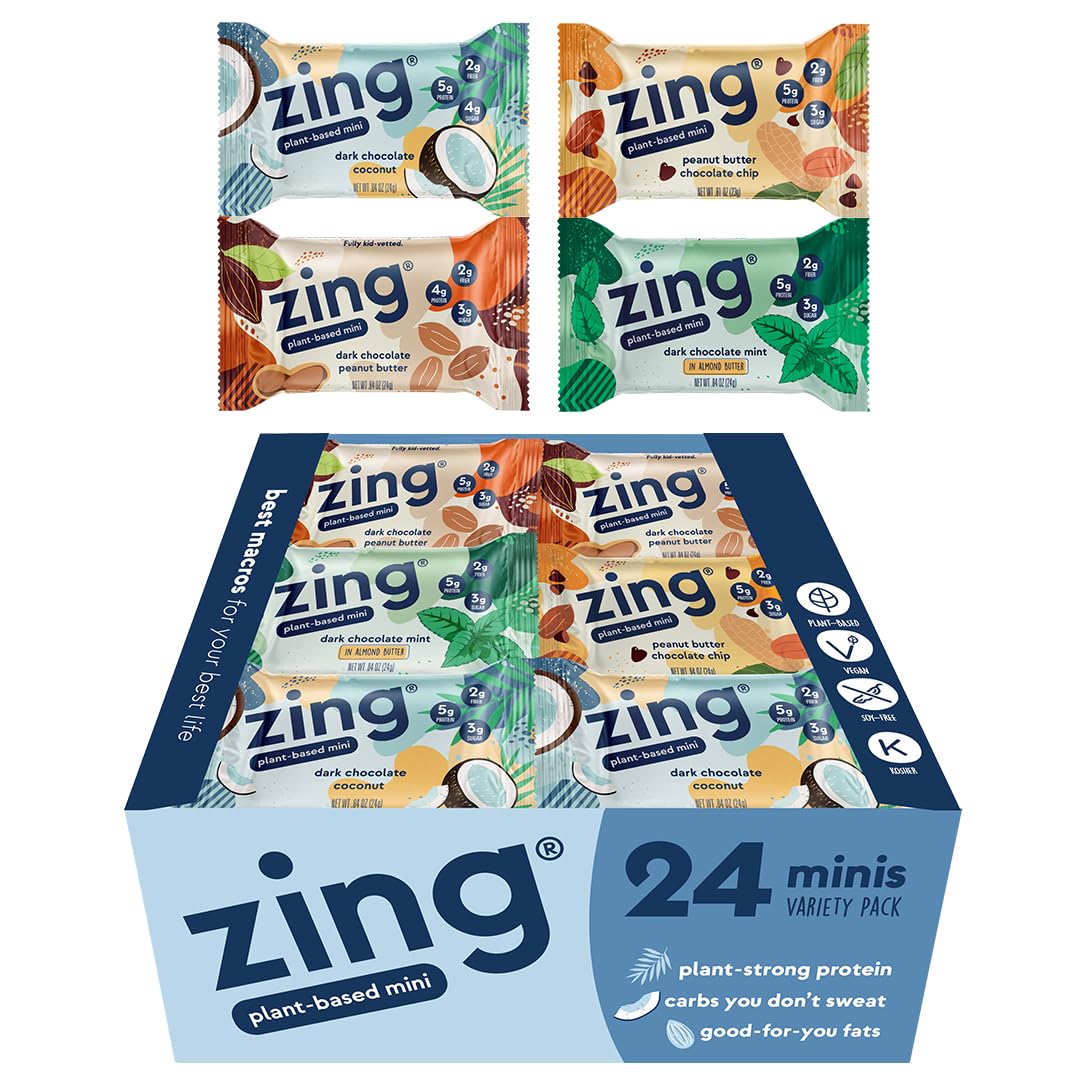 Zing Kids Protein Bars Variety Pack, Gluten Free 100 Calorie Mini Bars with High Protein, Vegan Nutrition Bars, Dairy Free Plant Based Protein - 24 count