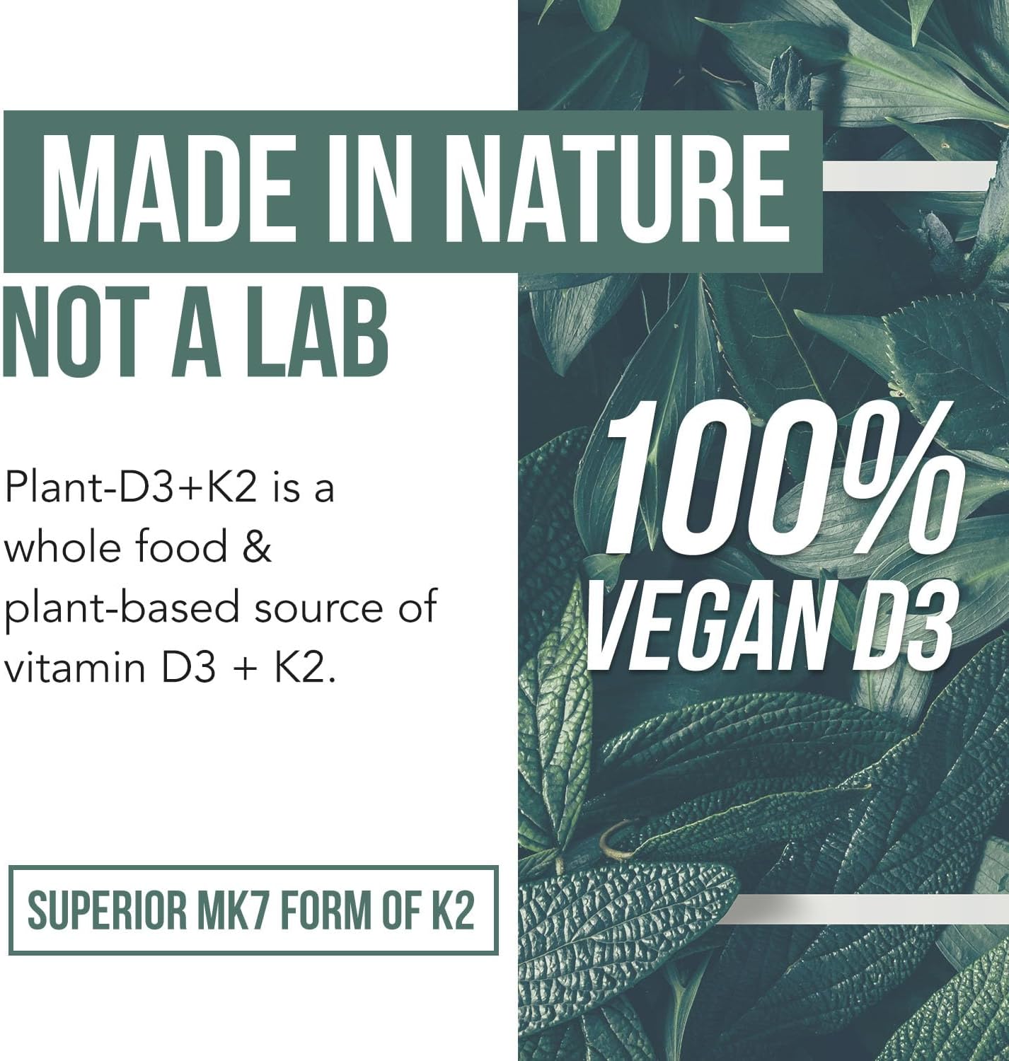 Organic Plant D3 + K2 | 5000 iu D3 + 120 mcg K2 as All-Trans MK7 from 