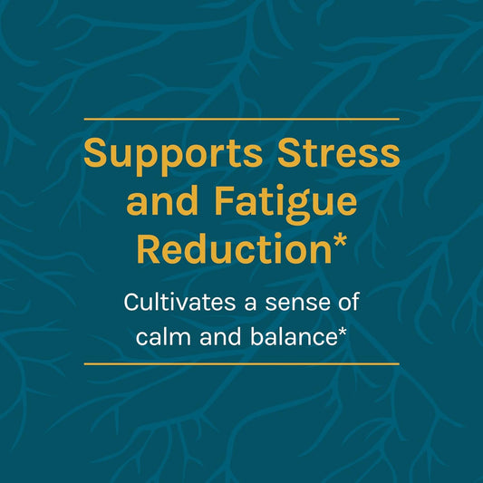 Host Defense, CordyChi Capsules, Support Stress and Fatigue Reduction,