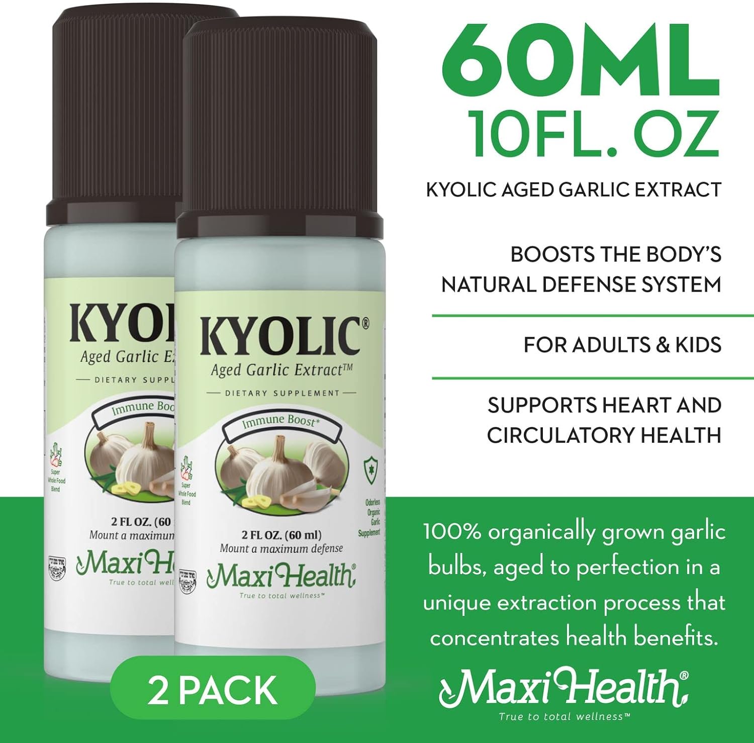 Kyolic Aged Garlic Extract Liquid - Odorless Garlic Supplements - Orga