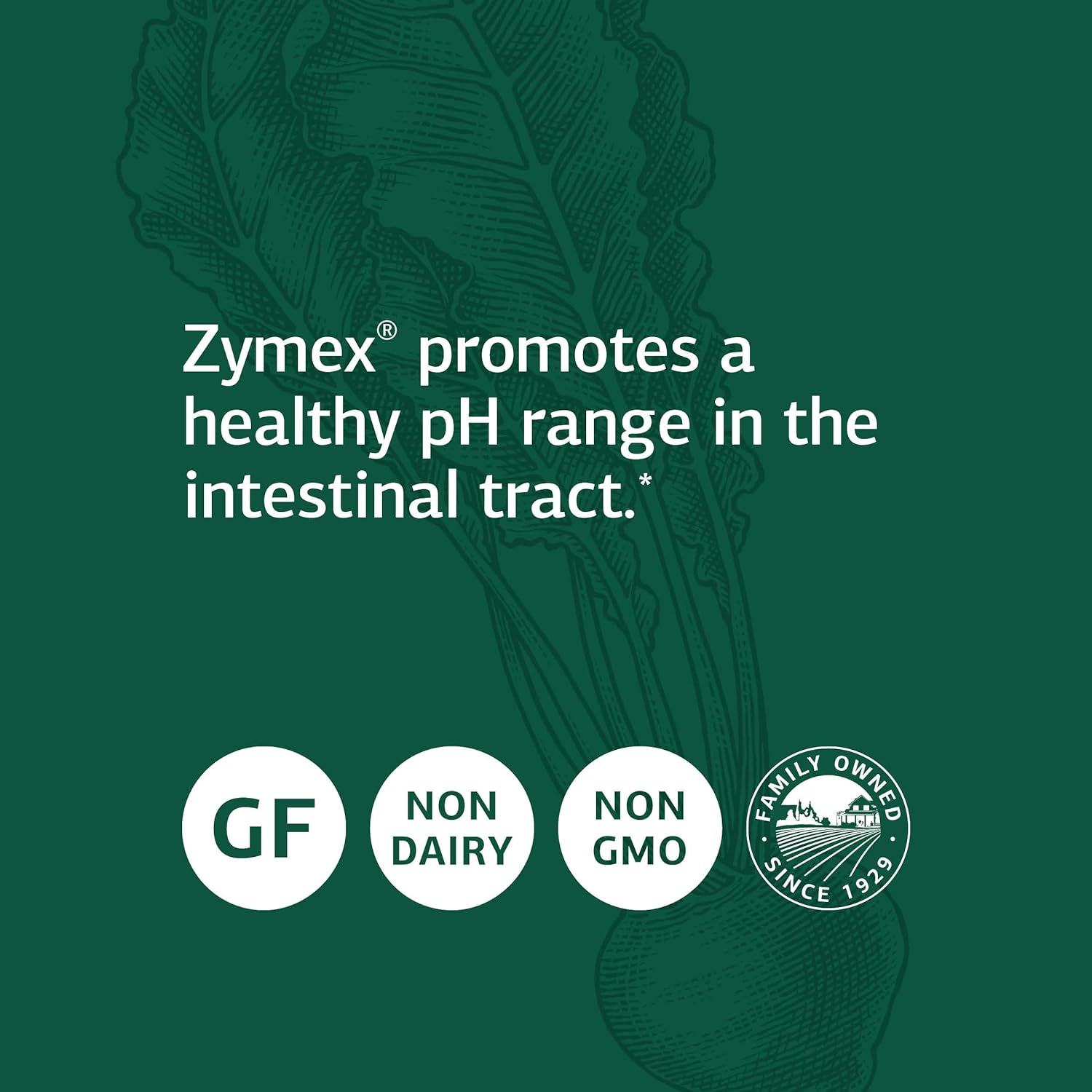 Standard Process Zymex Capsules - Whole Food Digestion and D