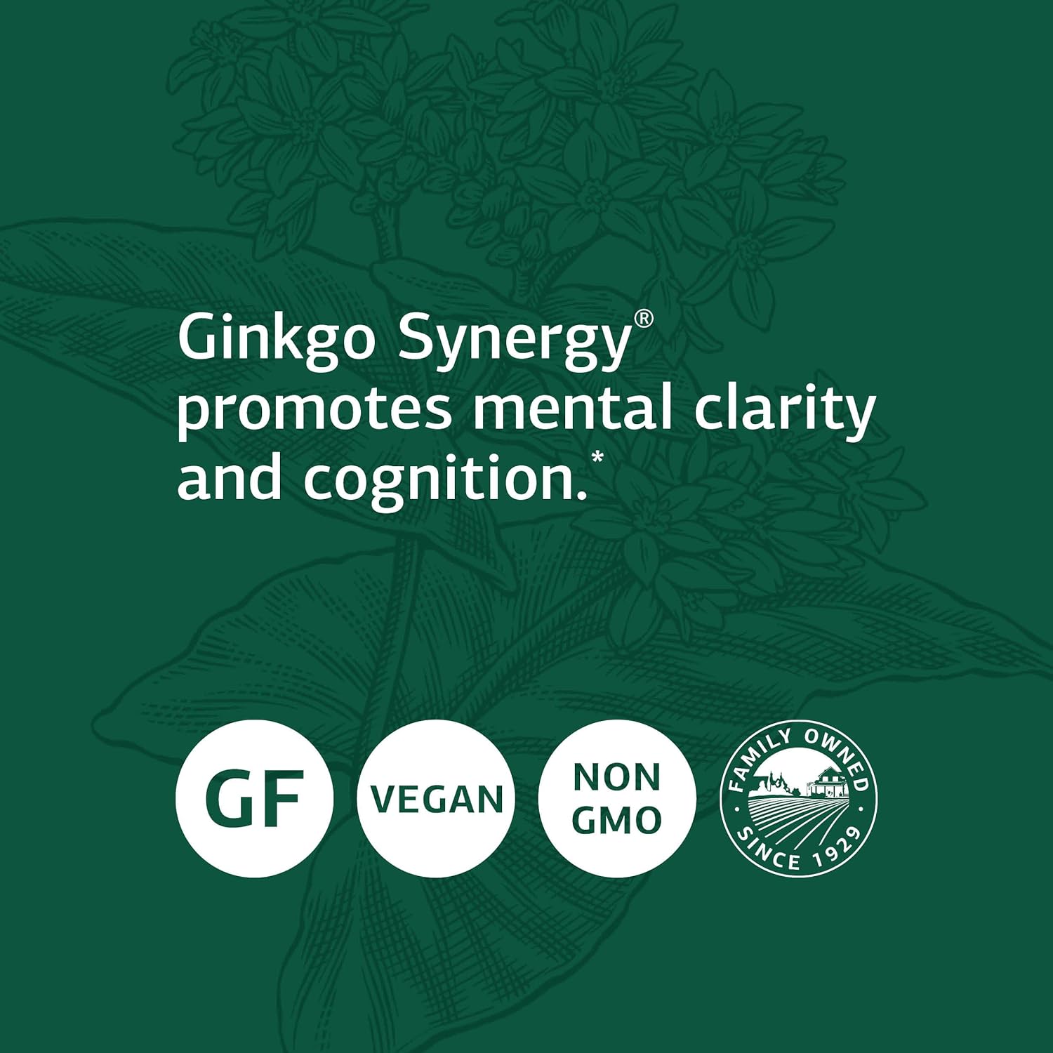 Standard Process Ginkgo Synergy - Whole Food Mental Clarity, Brain Hea