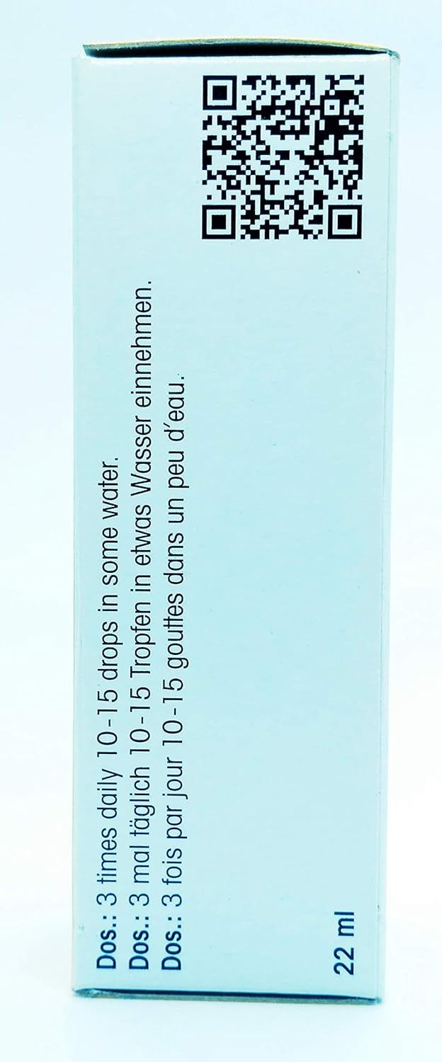  Dr.Reckeweg Germany R31 - Appetite energiser, anaemia Drops