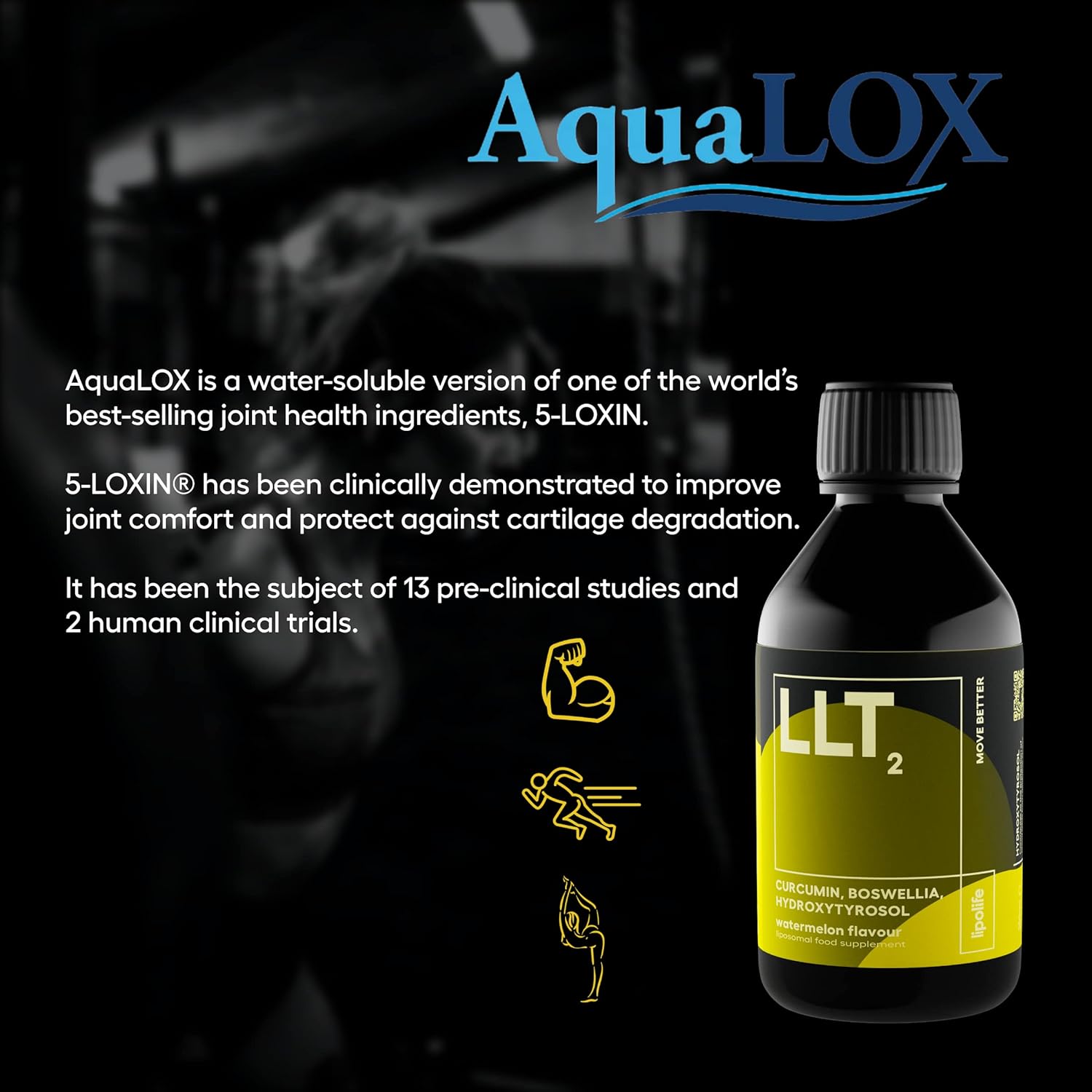 LLT2 Liposomal Boswellia, Curcumin and Hydroxytyrosol - 240ml - lipoli