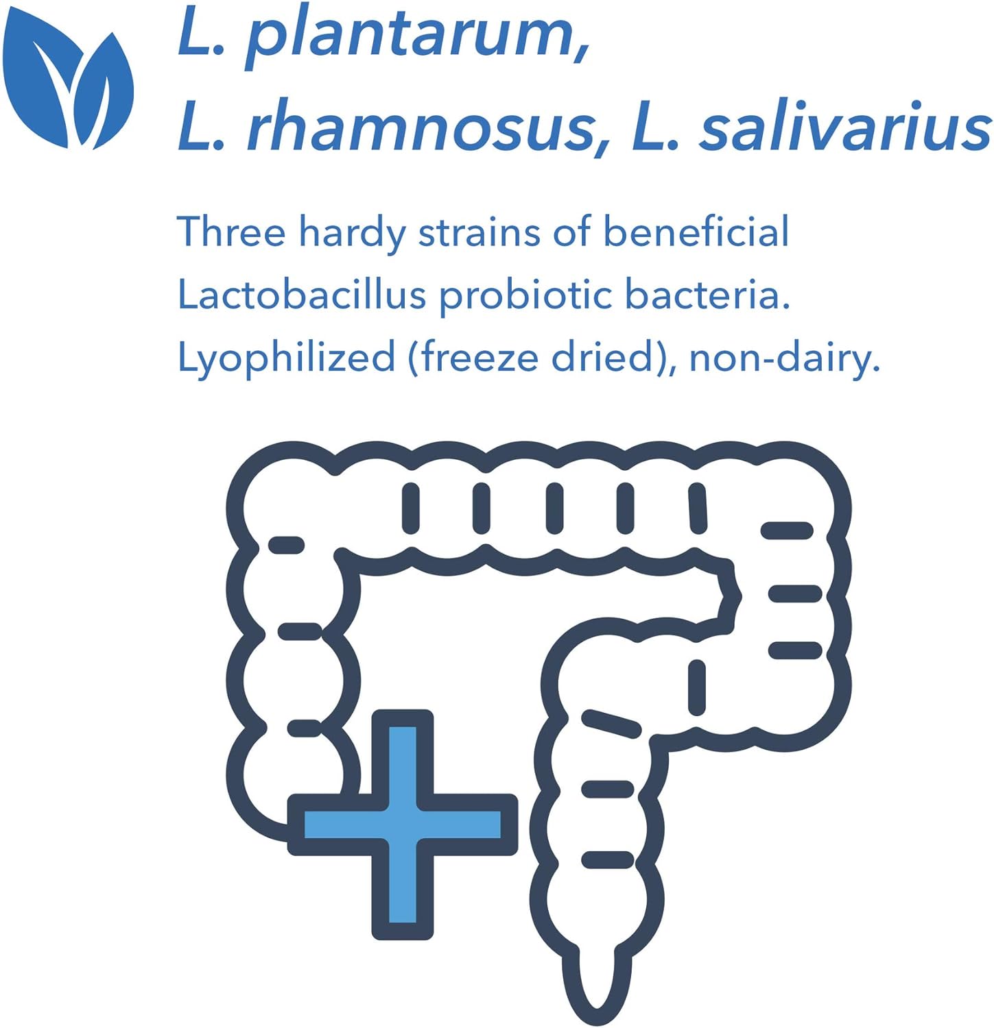 Allergy Research Group Lactobacillus 100 Veg Caps