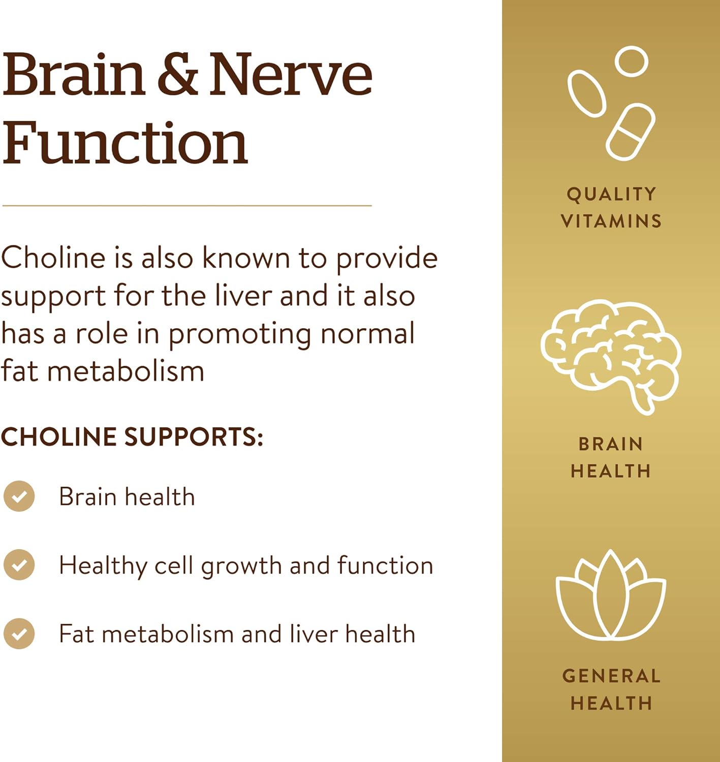 Solgar Choline 350 mg, 100 Vegetable Capsules - Supports Healthy Brain