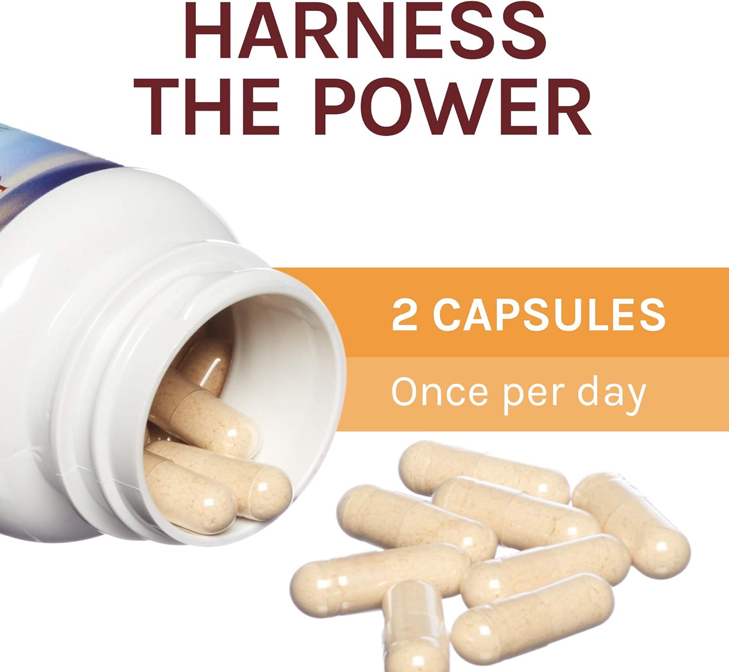 Host Defense, Chaga Capsules, Antioxidant and DNA Support, Mushroom Su