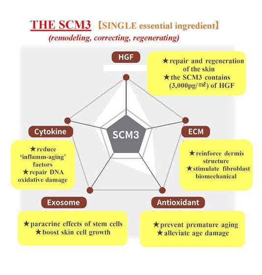 WhiteSilk SCM3 Human Stem Cell Anti-Aging Cell Recovery Ampoule (5 piece assortments)