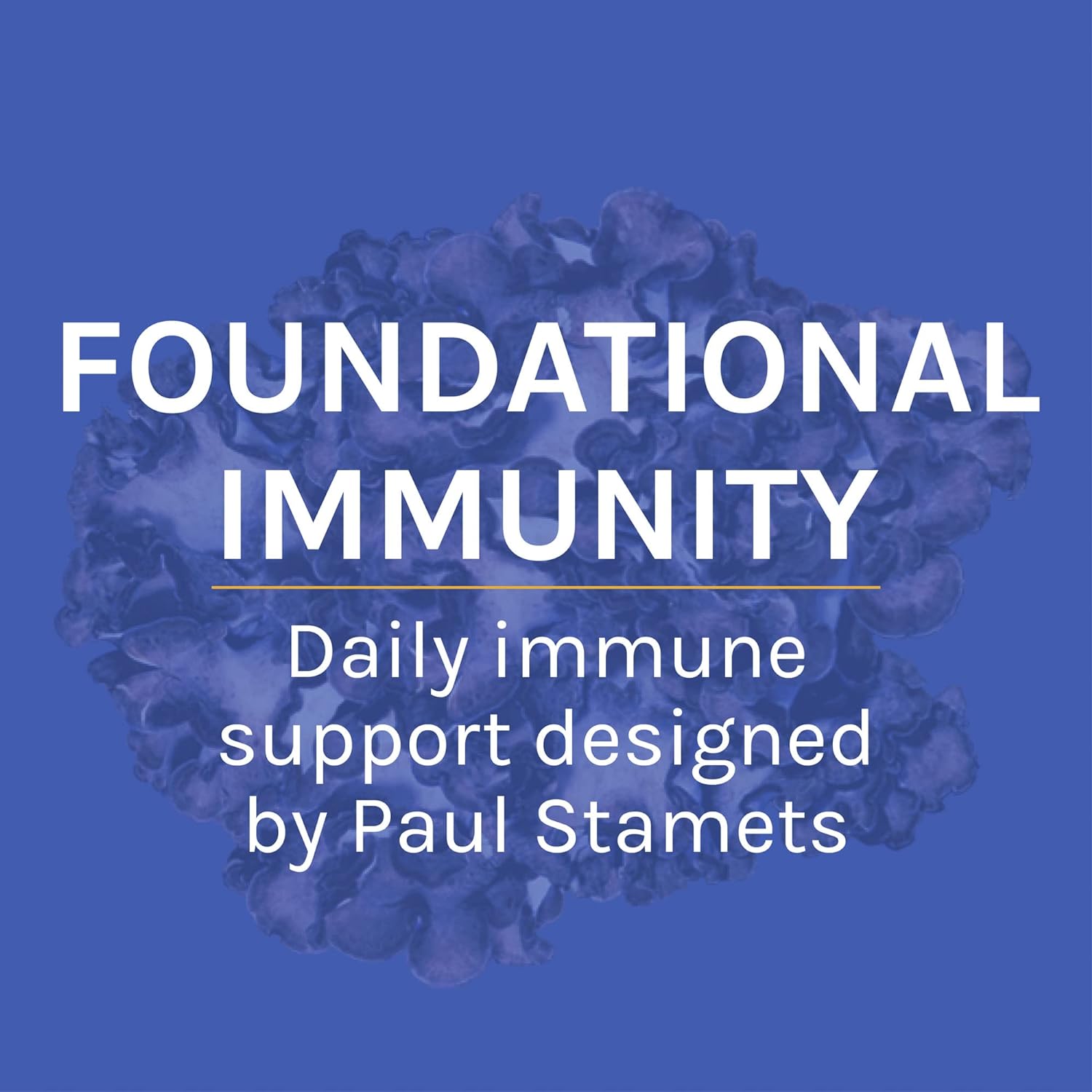 Host Defense, Stamets 7 Mushroom Powder, Daily Immune Support, Mushroo