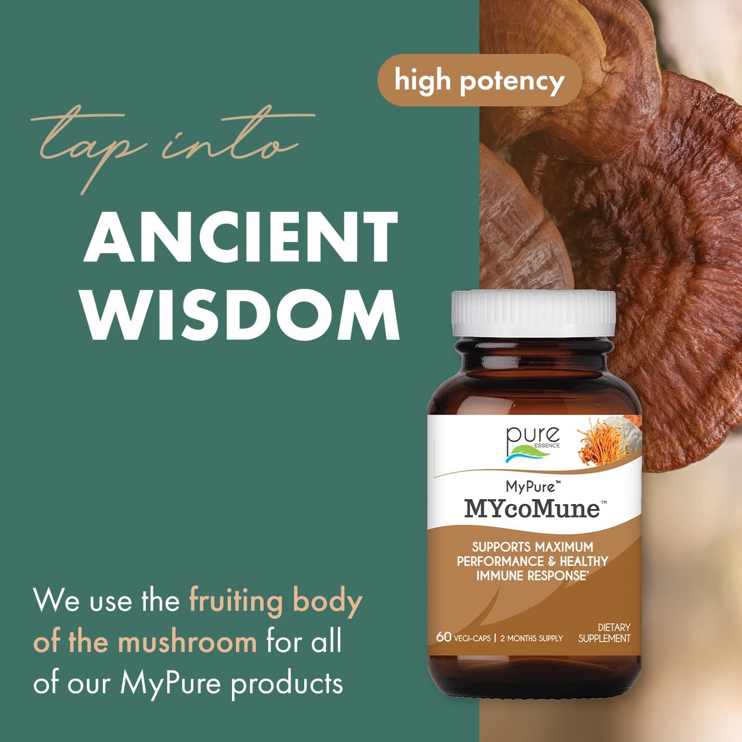  MYcoMune Immune Support Supplement - Concentrated Organic M