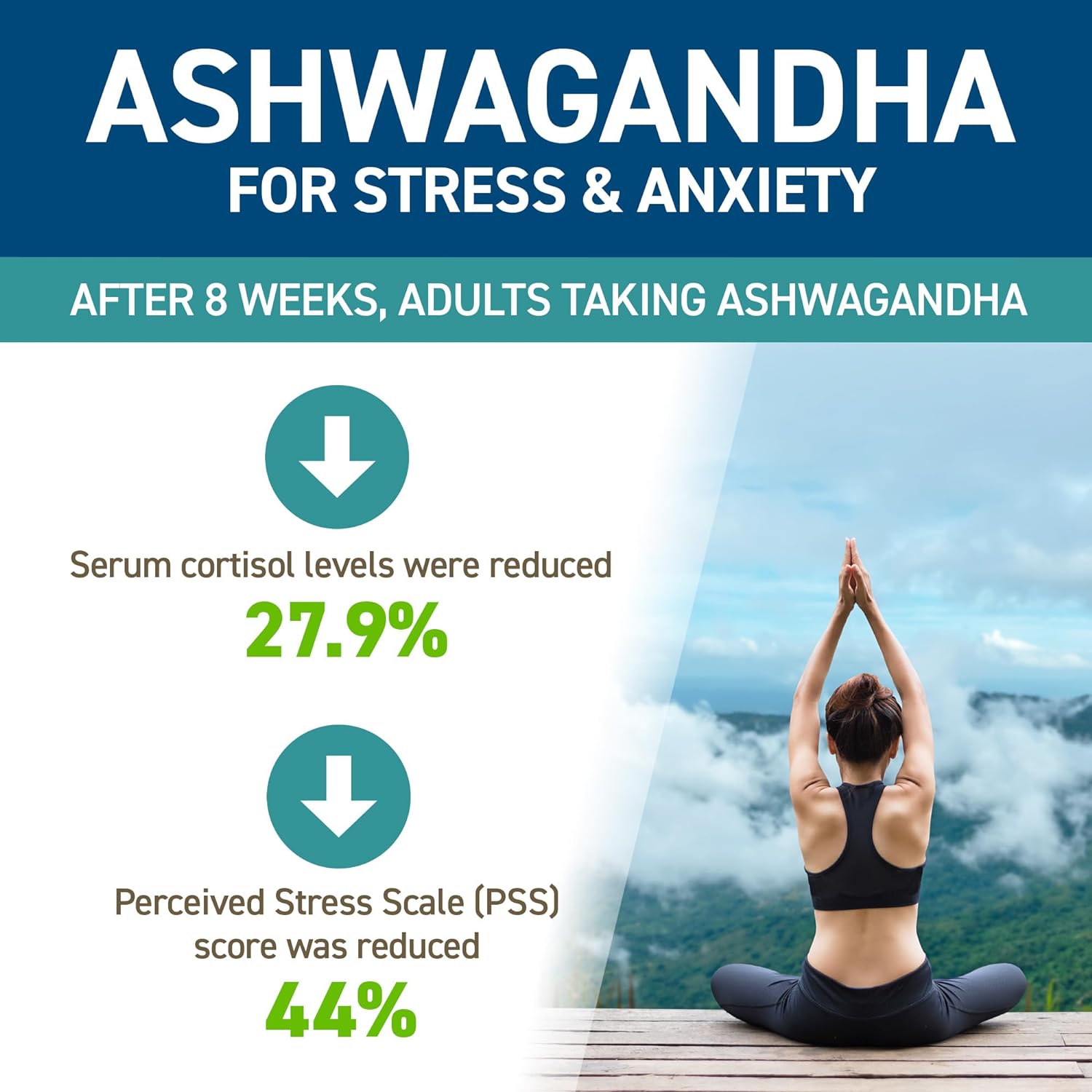 Applied Nutrition Ashwagandha KSM-66 - Premium Ashwagandha Herbal Supp