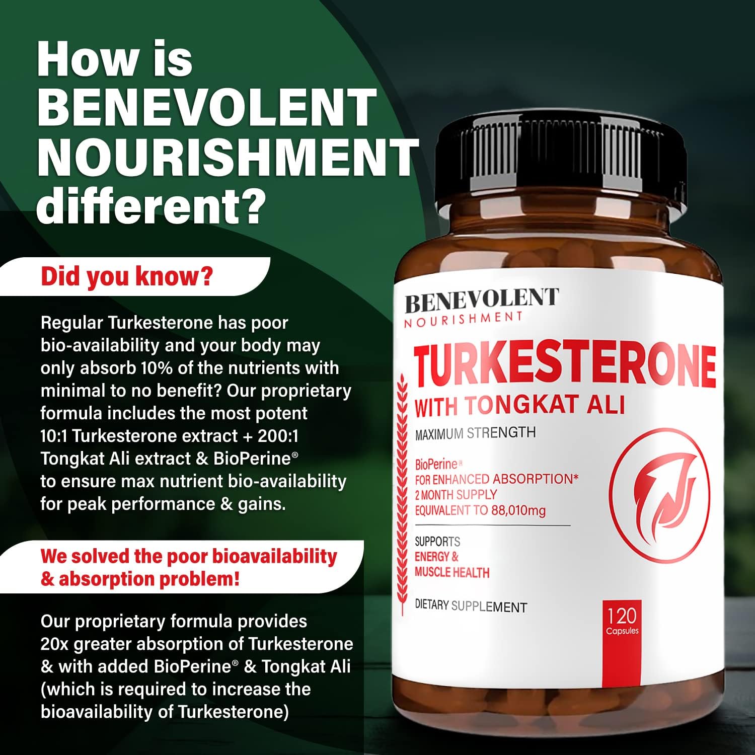  Turkesterone 8,000mg [Highest Purity] + BioPerine® for High
