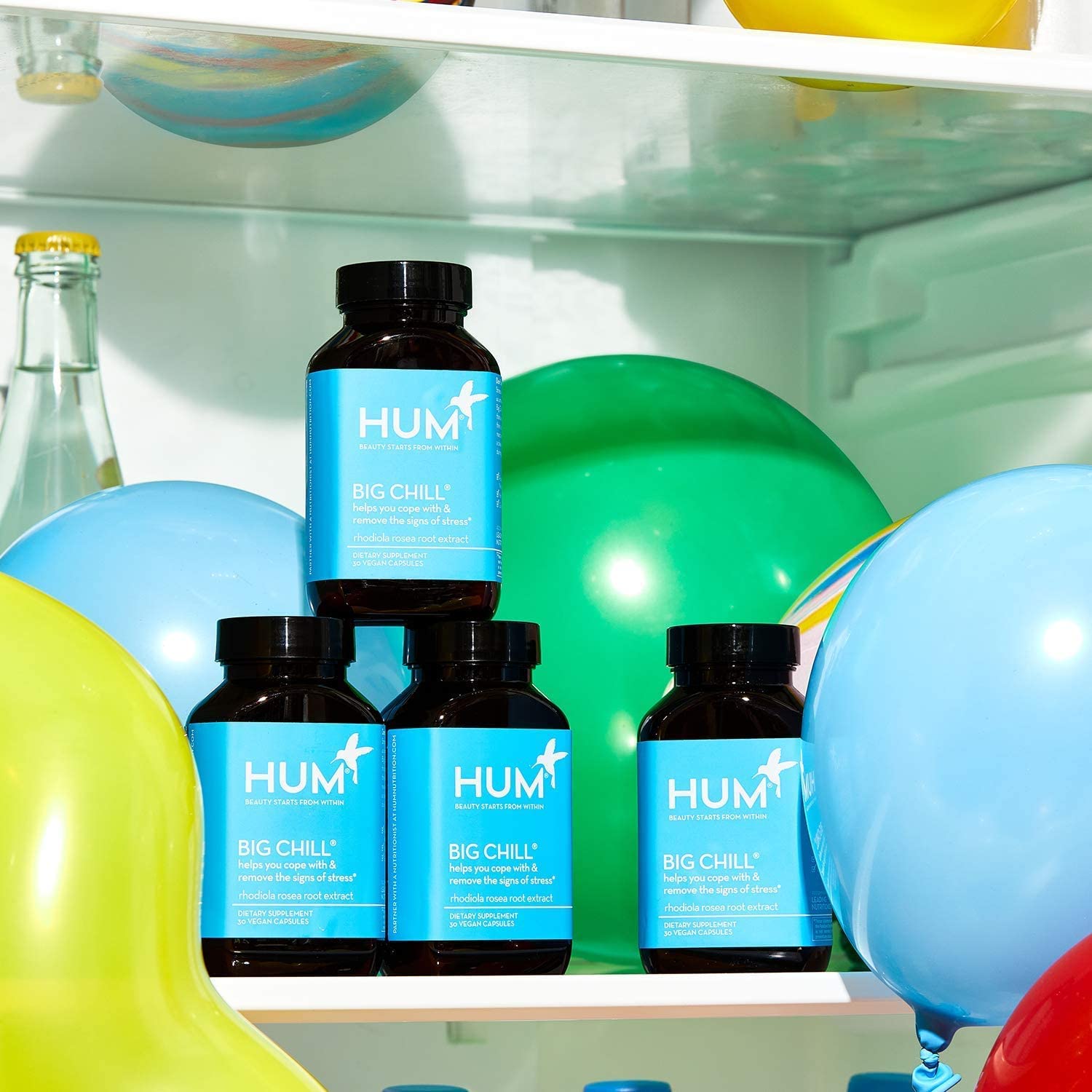 HUM Big Chill - Calming Supplement with Rhodiola Rosea for Stress & Mo