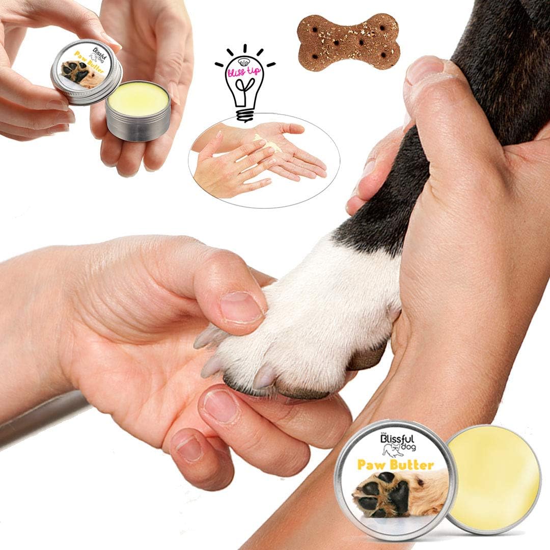 The Blissful Dog Paw Butter for Your Dog's Rough and Dry Paw