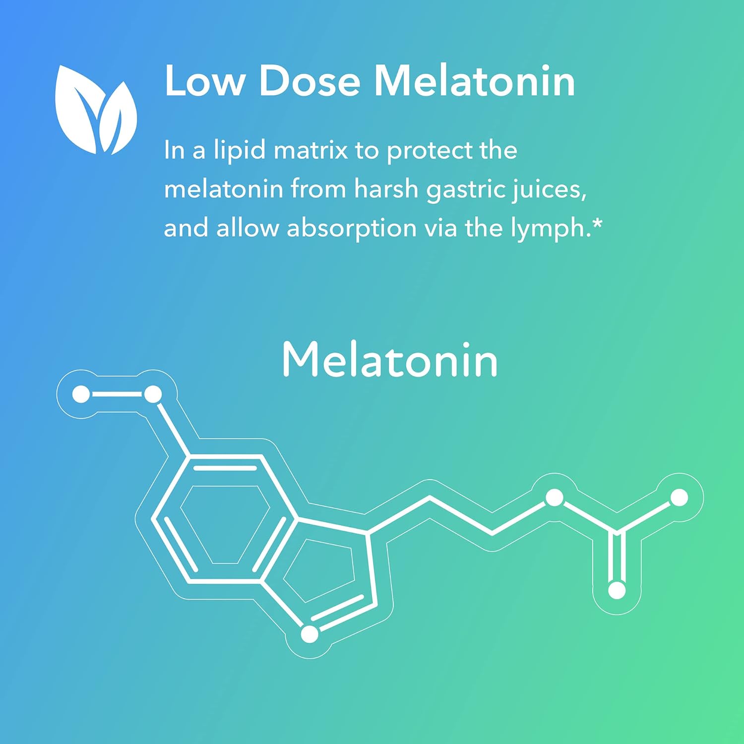 Allergy Research Group - Slow Motion Melatonin - Sleep Support, Antiox