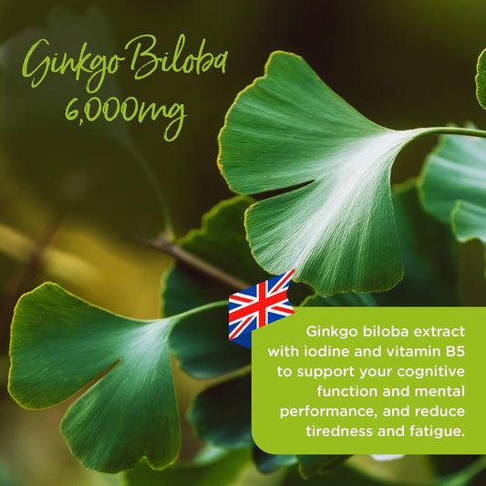 Healthspan Ginkgo Biloba 6,000mg | High Strength | 180 Tablets | Iodin177 Grams