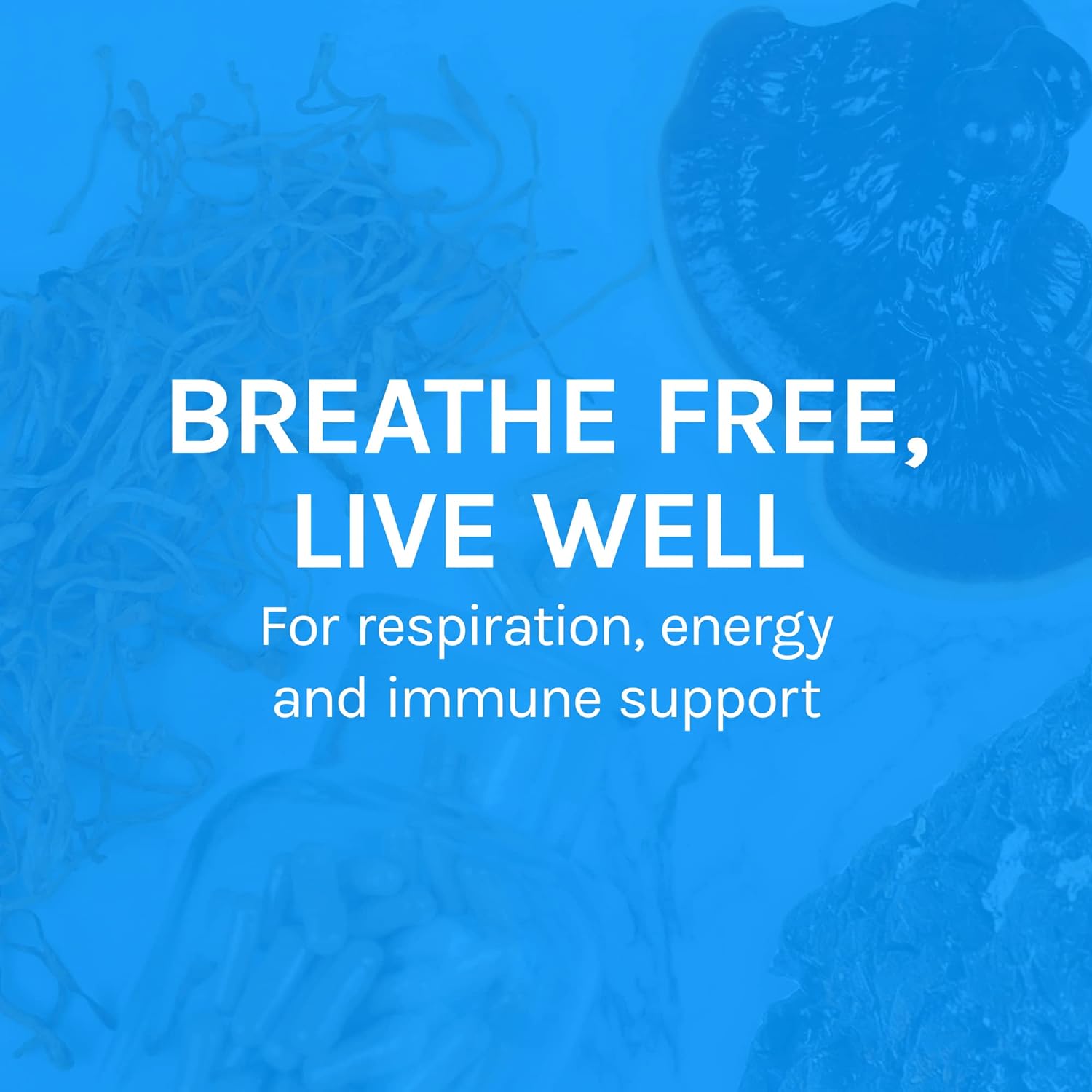 Host Defense, Breathe Capsules, Respiratory Support, Mushroom Suppleme
