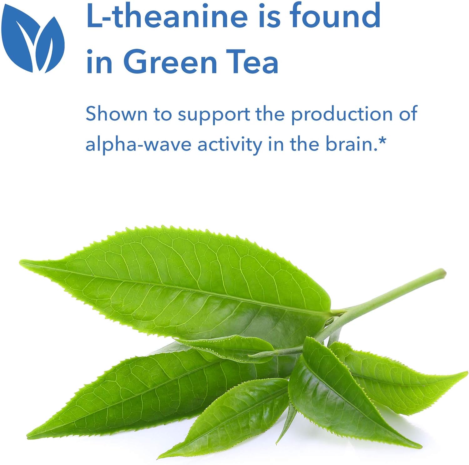 Allergy Research Group - 200mg of Zen - GABA and L-Theanine formula fo