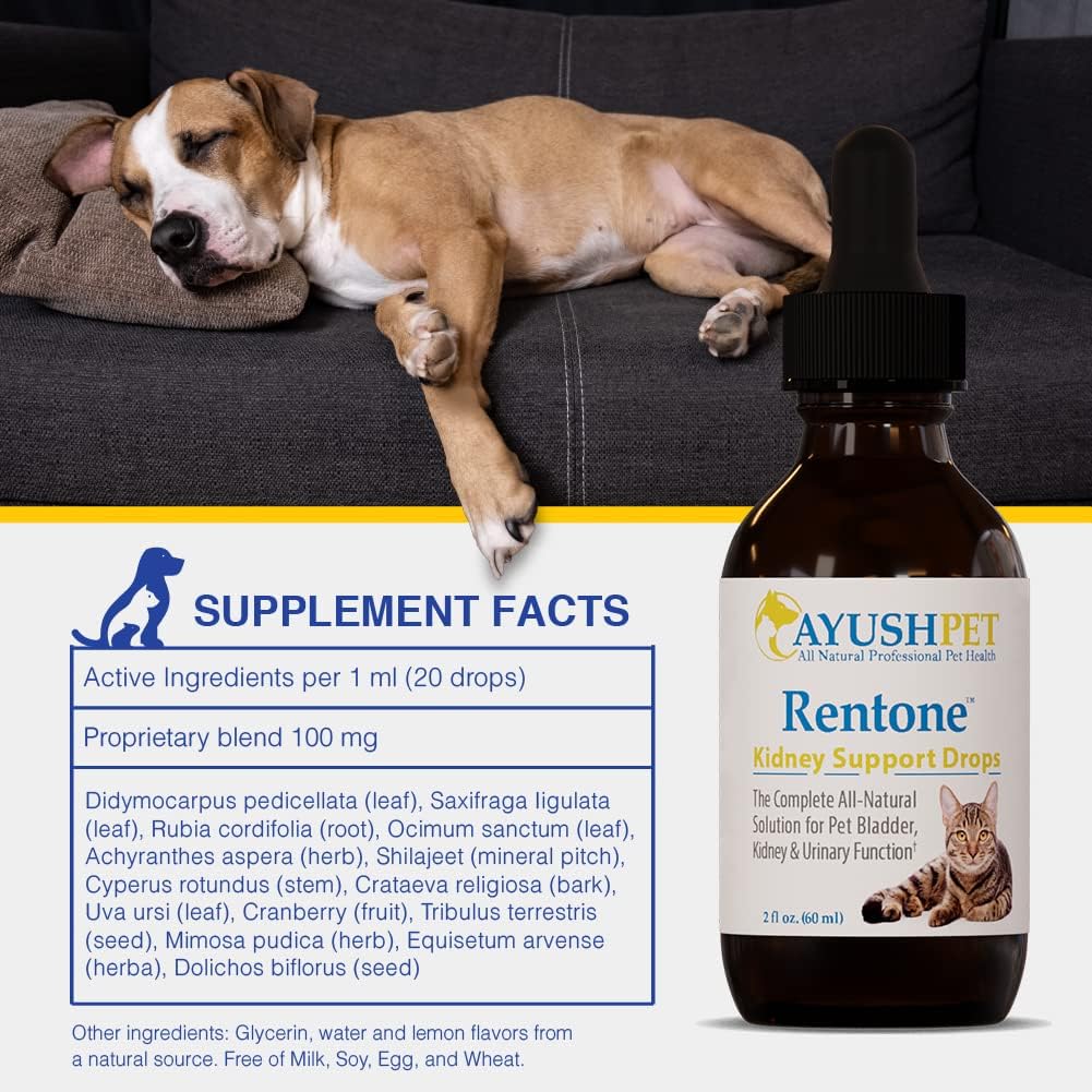 Ayush Pet Kidney and Bladder Support, Rentone Drops for Pets, Promotes