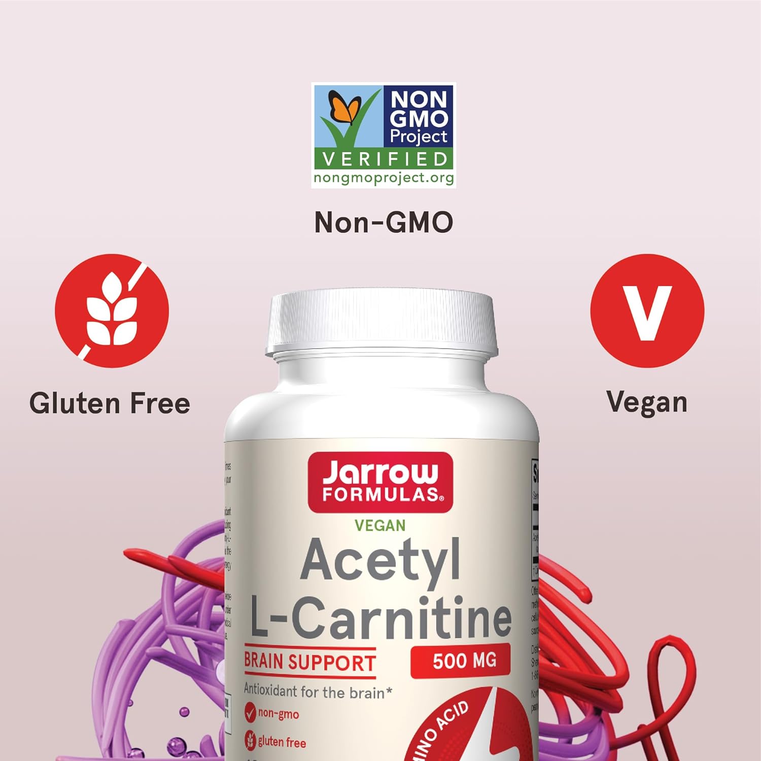 Jarrow Formulas Acetyl L-Carnitine 500 mg - Antioxidant Prot