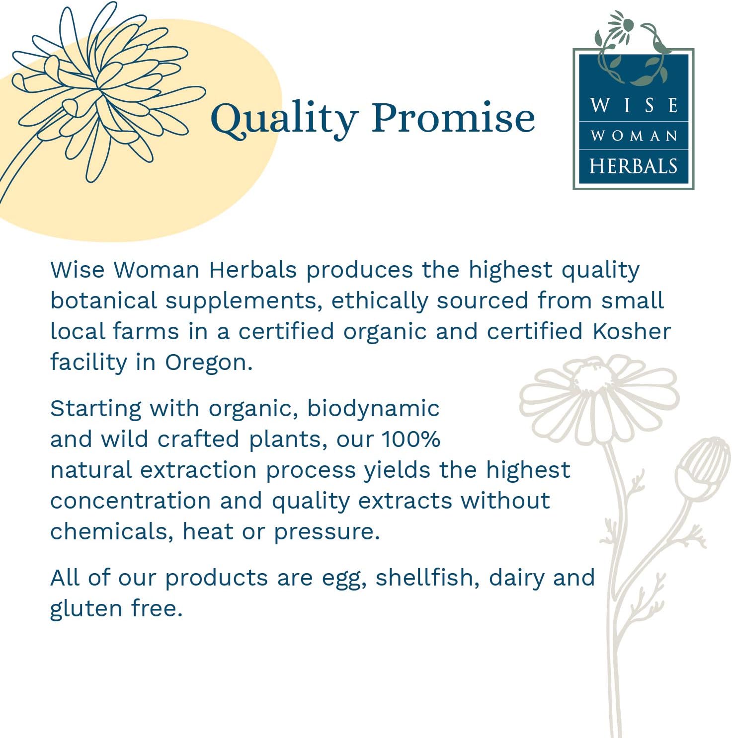 Wise Woman Herbals – Mullein & Garlic Oil Compound