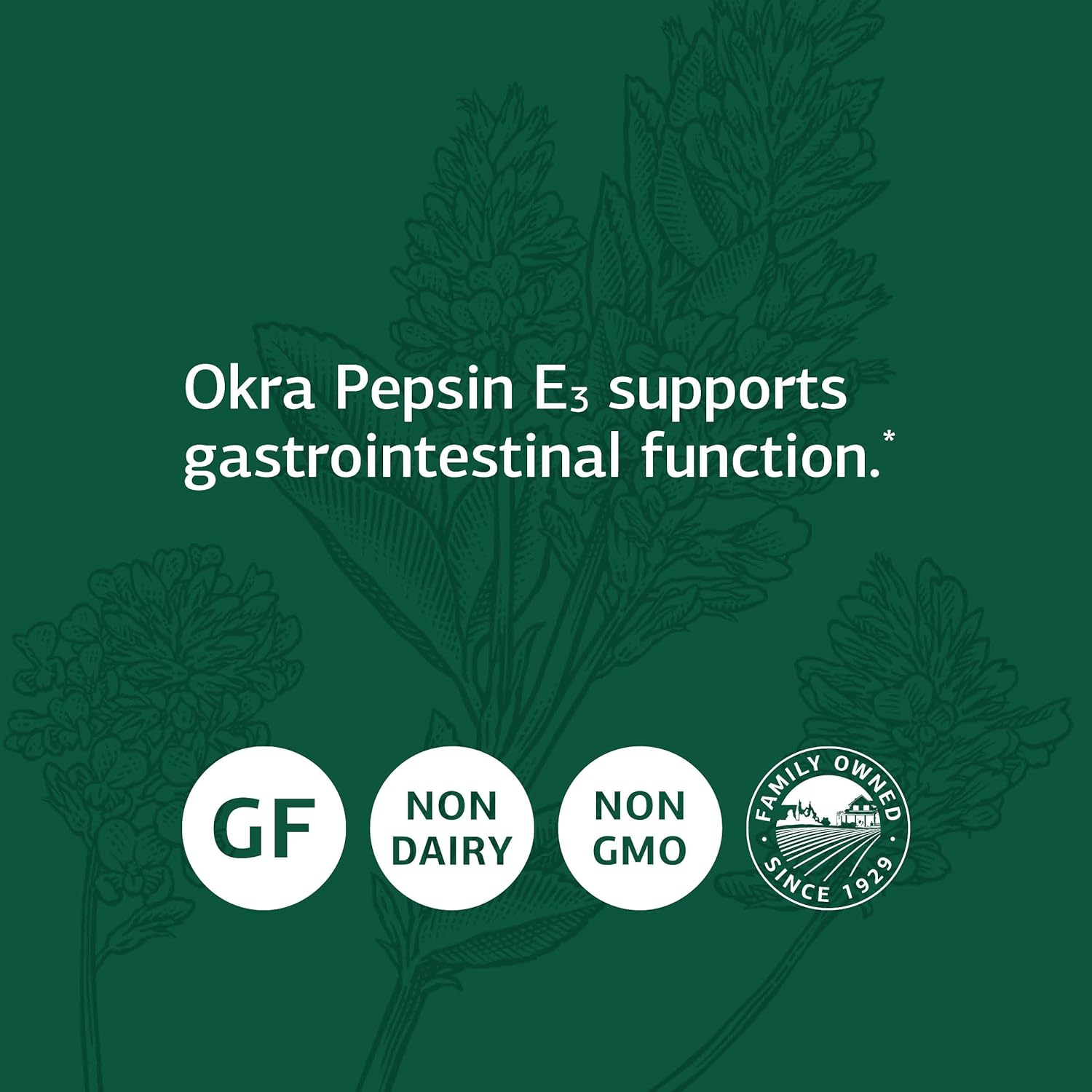 Standard Process Okra Pepsin E3 - Whole Food Digestion and Digestive H