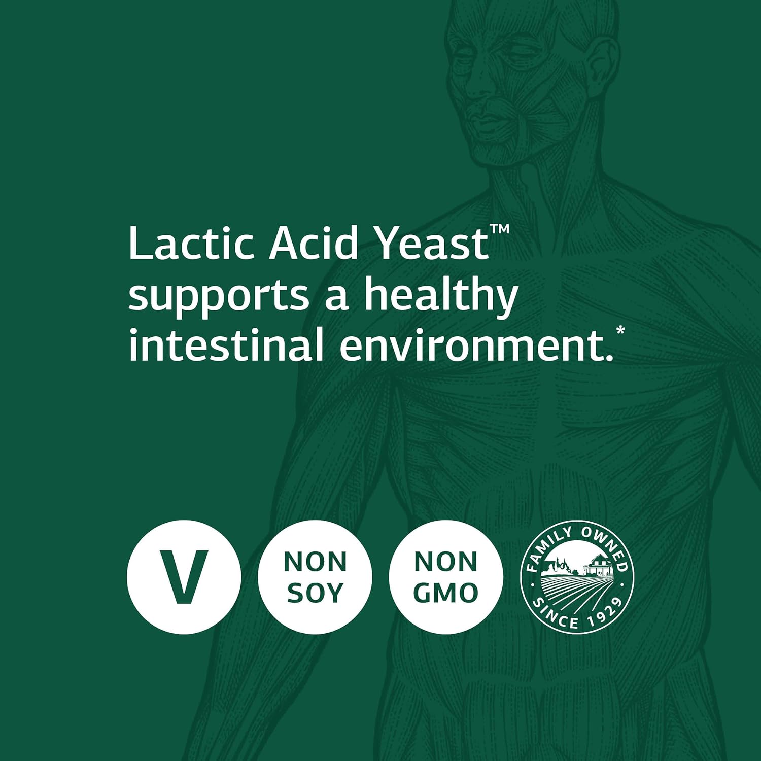 Standard Process Lactic Acid Yeast - Whole Food GI, Digestion and Dige