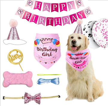 Dogs Deserve It Girl Dog Birthday Party Supplies 8 Pieces per Pack Dog Birthday Hat, Bow Tie, Bandana, Dog Bone, Cake St