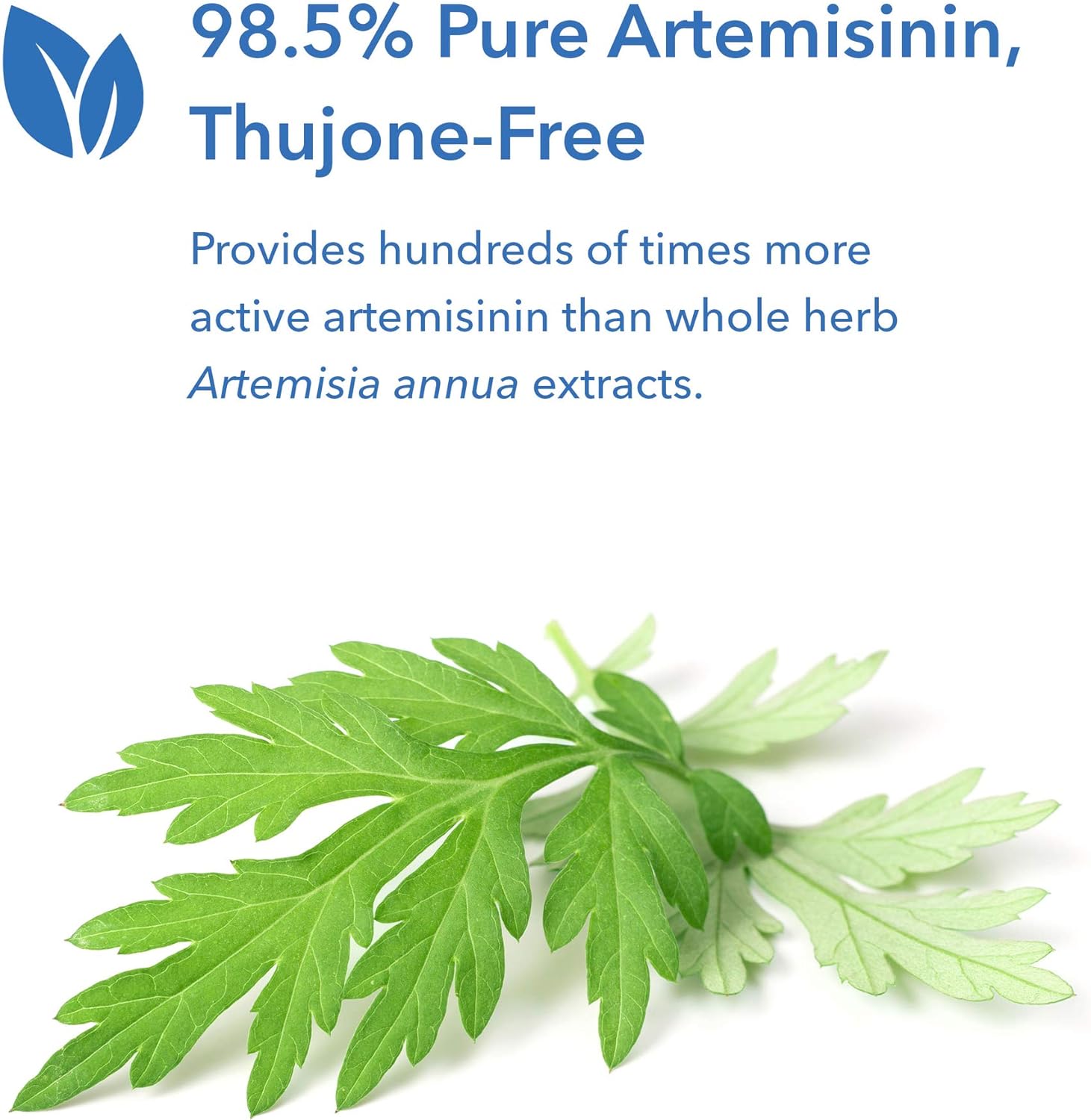 Allergy Research Group - Artemisinin Supplement - Microbial Balancer -