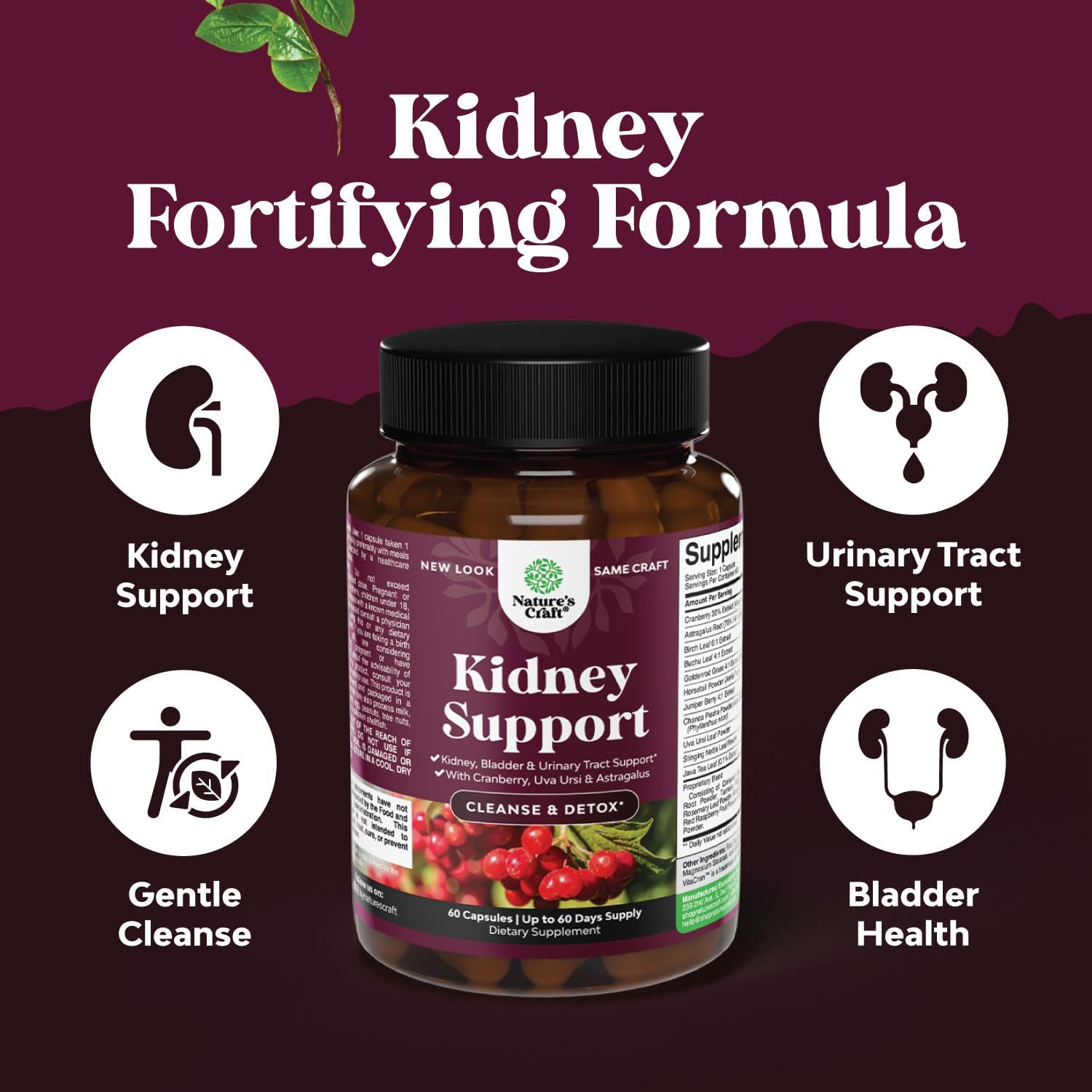 Kidney Support Cranberry Pills for Women and Men - High Strength Kidne