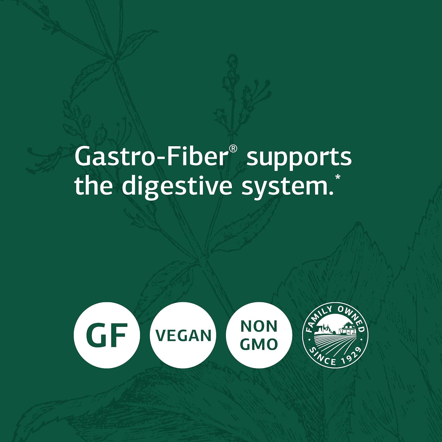 Standard Process Gastro-Fiber - Whole Food Digestion and Digestive Hea