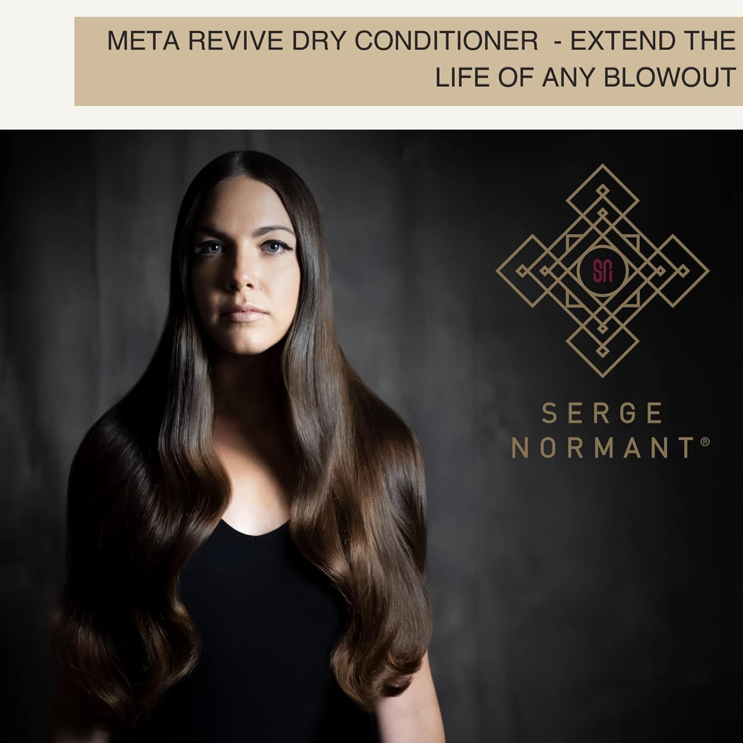 Esupli.com Serge Normant Meta Revive Dry Conditioner, Volumizing Spray 