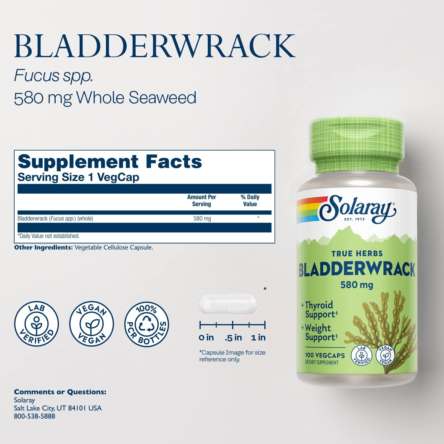 SOLARAY Bladderwrack Seaweed 580 mg Healthy Thyroid Balance and Weight