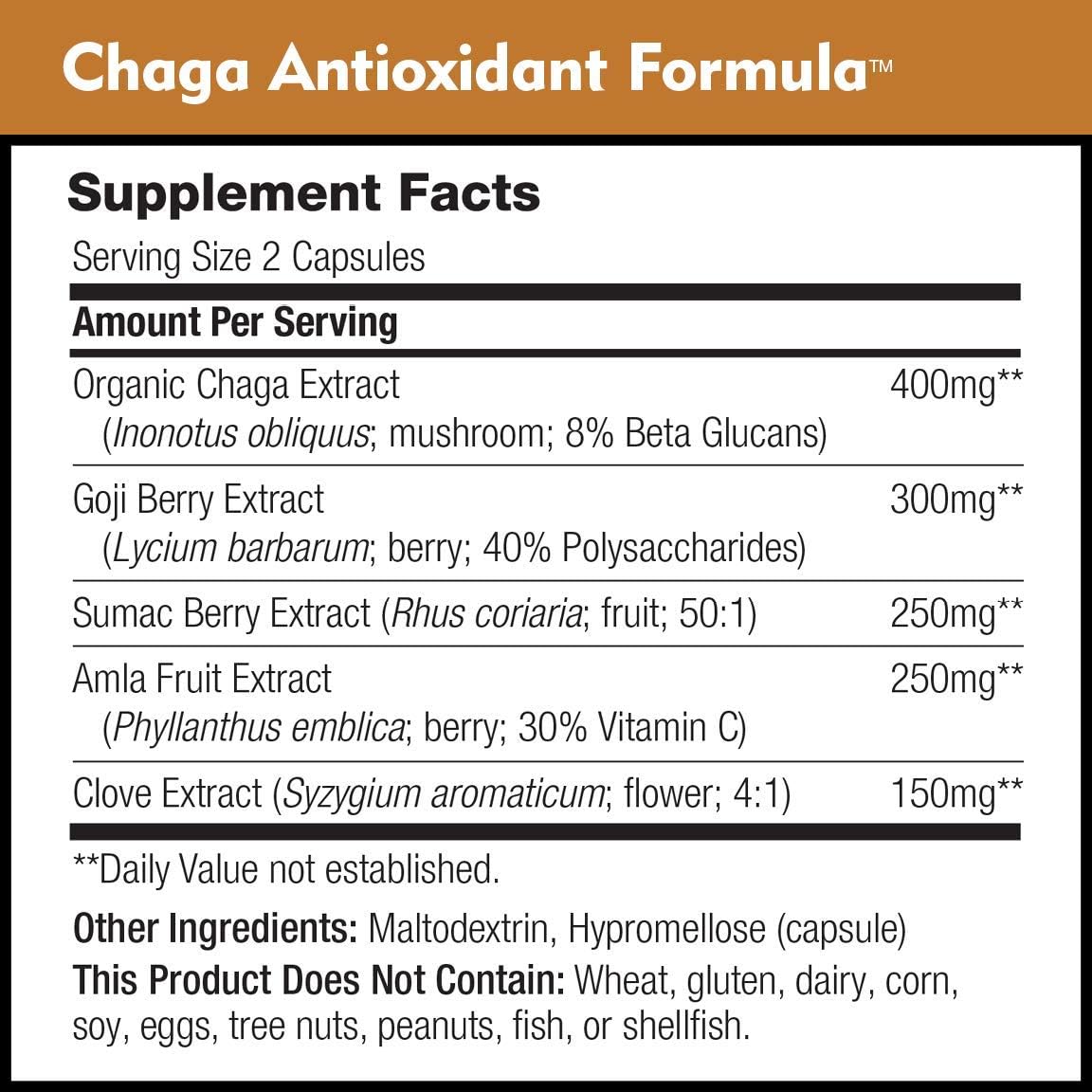 DailyNutra Chaga Antioxidant Formula Mushroom Supplement - Protection 