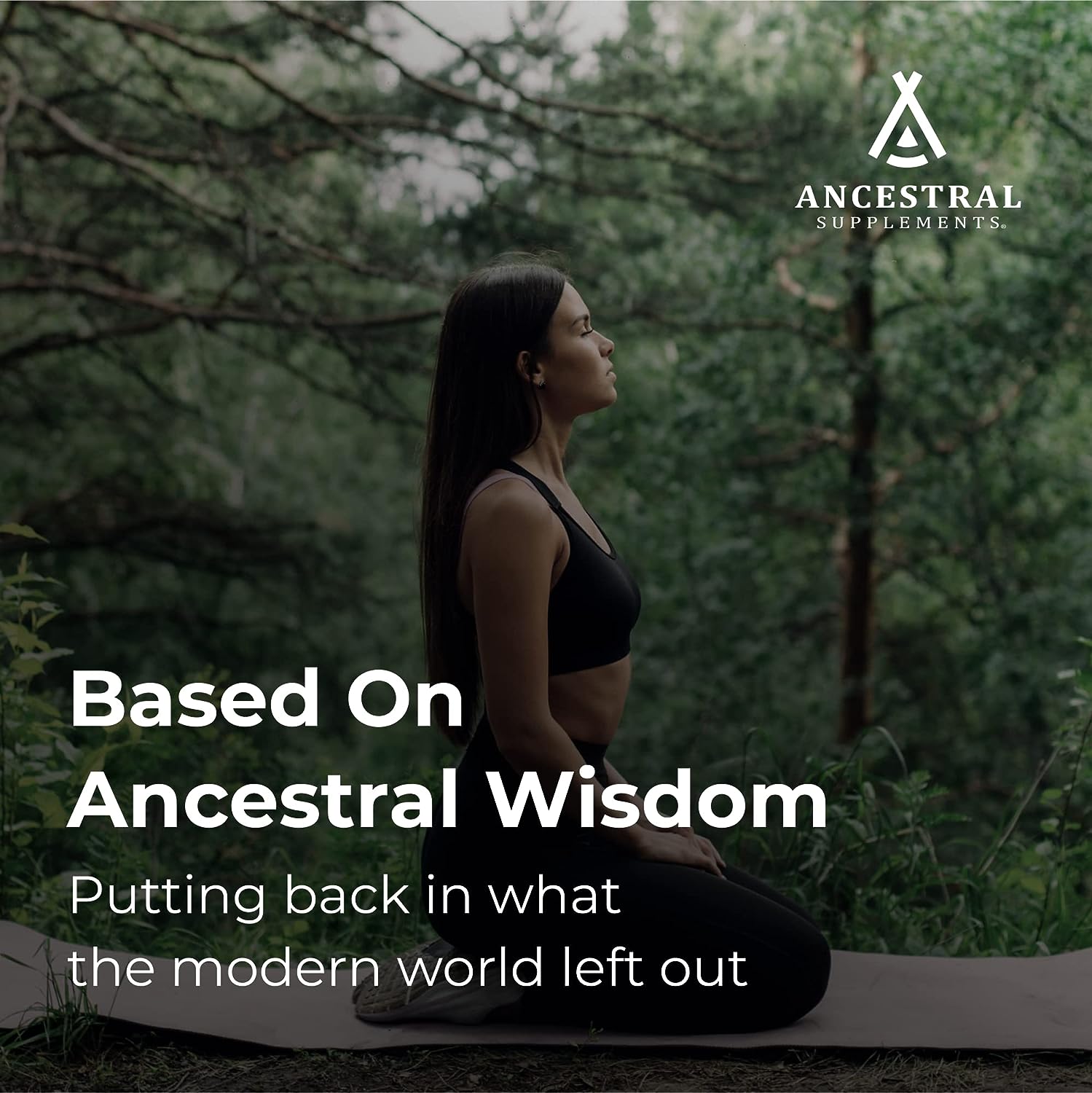 Ancestral Supplements Grass Fed Beef Bovine Tracheal Cartilage Supplem