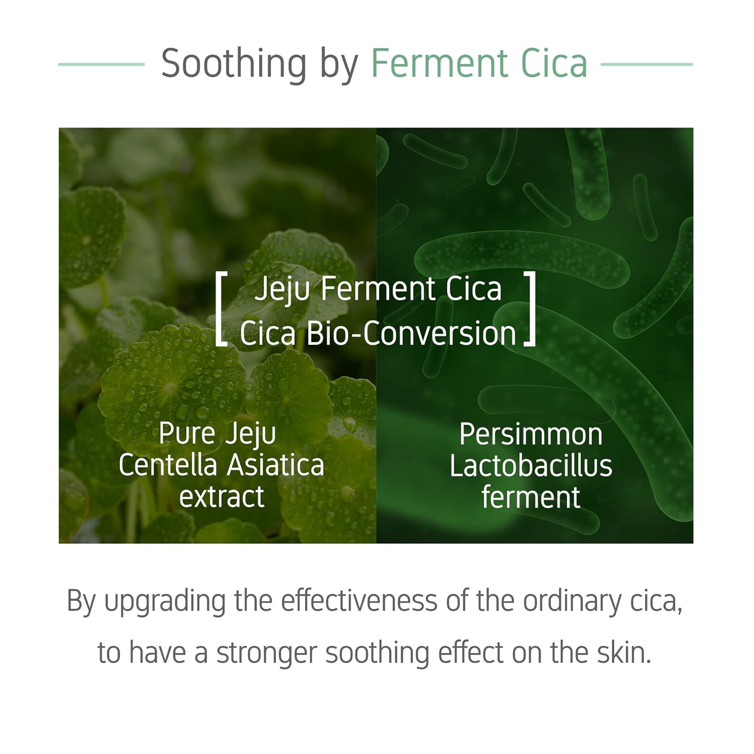 Esupli.com Inward Ferment Cica Serum - Soothing, Recovery, Sensitive Sk