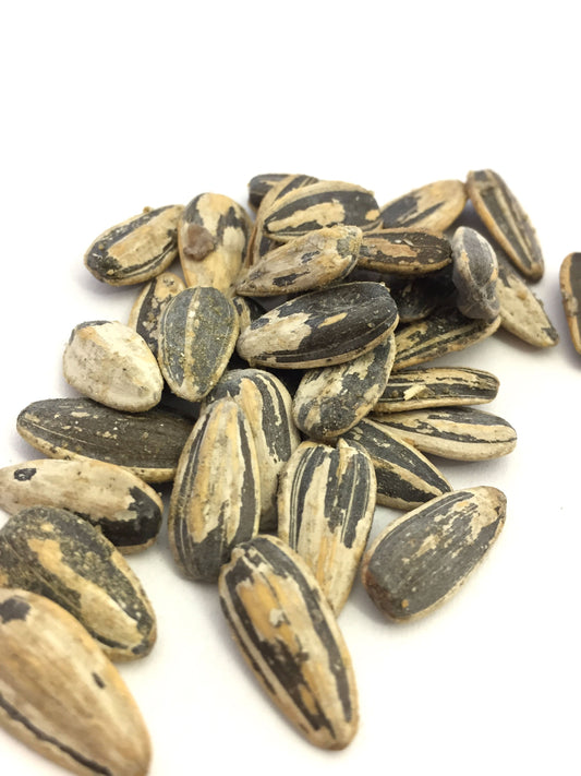 Premium Roast Sunflower Seeds