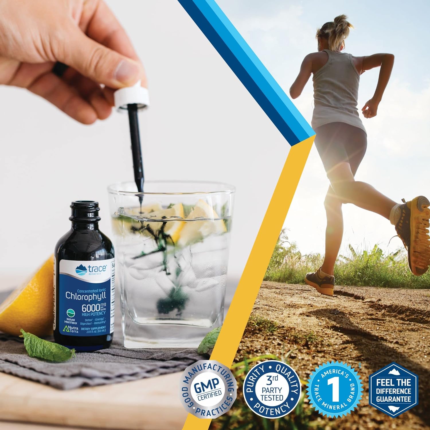 Trace Minerals | Concentrated Ionic Chlorophyll | Supports & Immune Fu