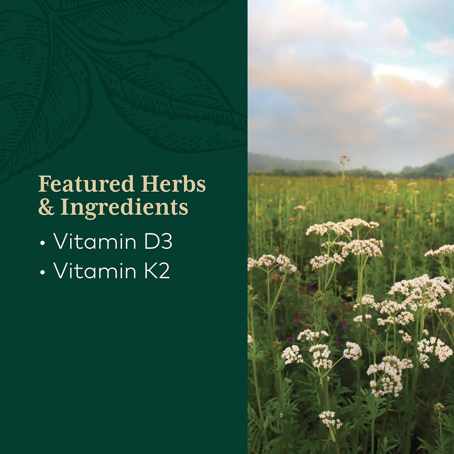Gaia PRO Vitamin D3+K2 - Bone Health & Immune Support - Made with Vita