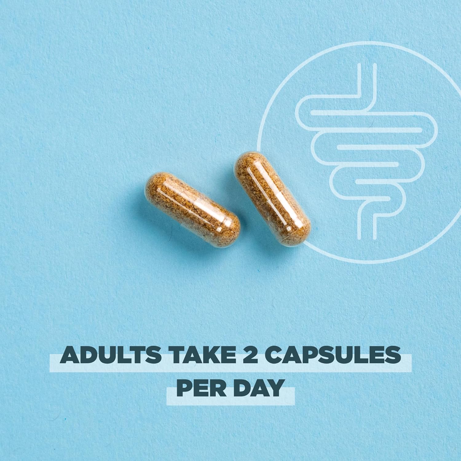 Ancient Nutrition Regenerative Organic Certified Probiotics for Gut Re