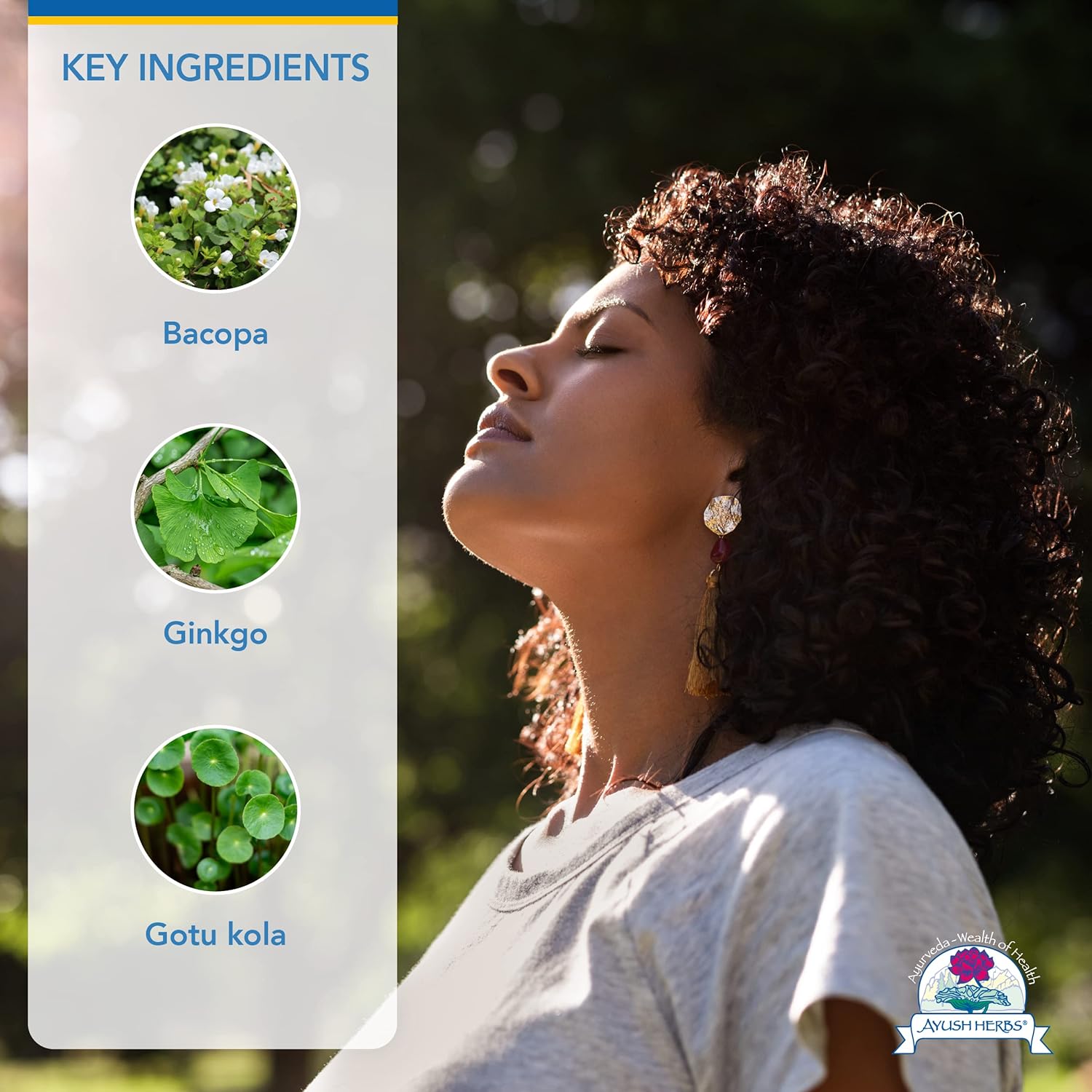 Ayush Herbs Bacopa Plus, Herbal Ginkgo Biloba Supplement for Memory an