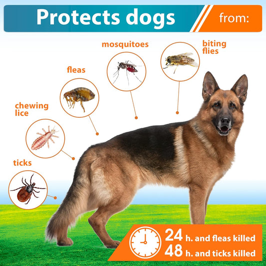 Flea and Tick Prevention for Dogs & Puppies - Flea Medicine & Home Pest Control - Topical Treatment & Mosquito Repellent