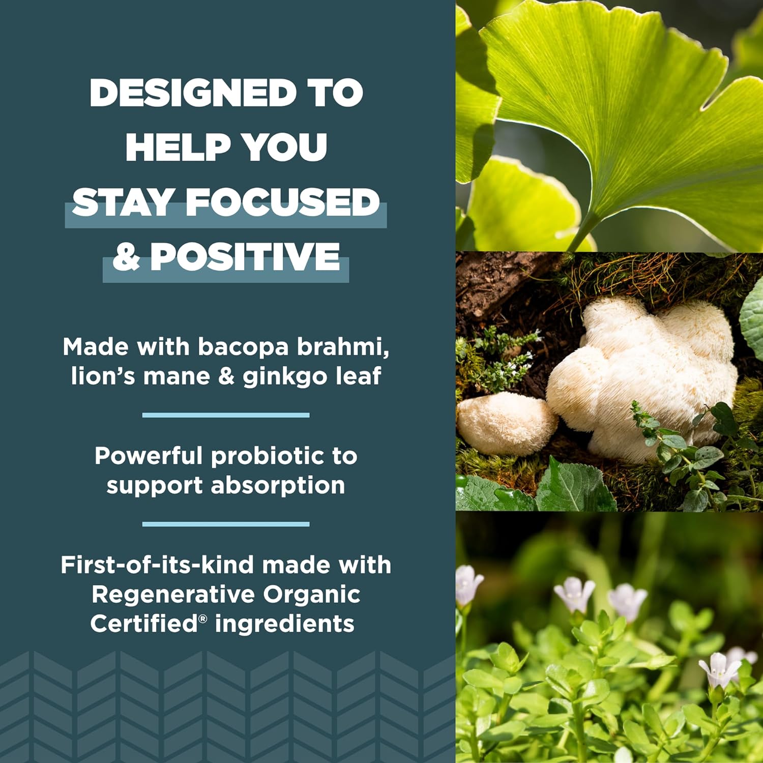 Ancient Nutrition Regenerative Organic Certified Focused Brain Capsule
