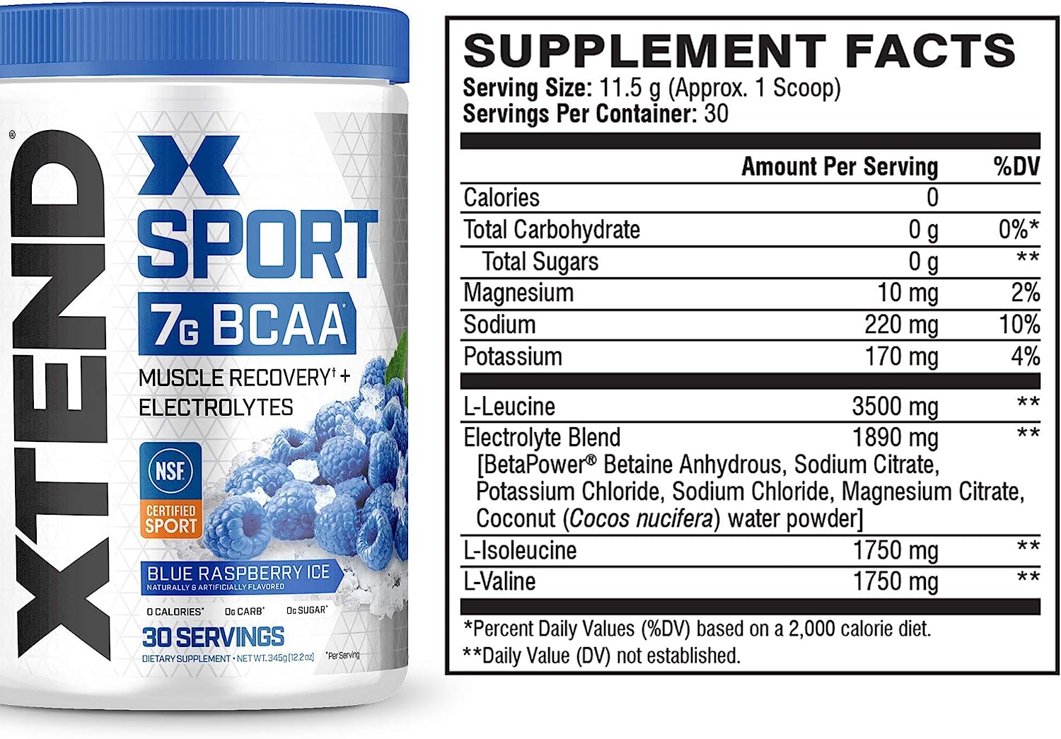 XTEND Sport BCAA Powder Blue Raspberry Ice - Electrolyte Powder for Re