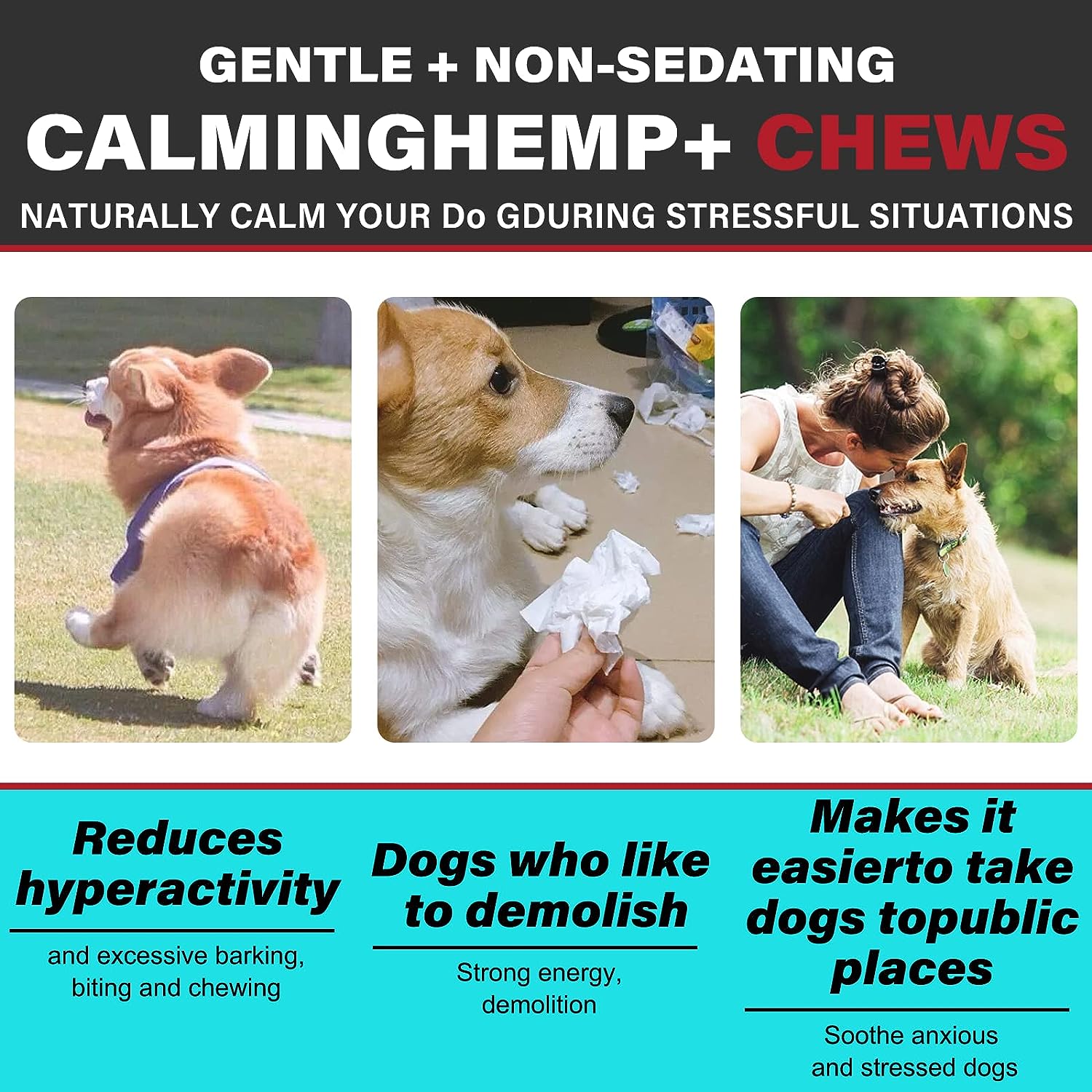 Calming Chews for Dogs, Dog Calming Chews - Anxiety Relief T