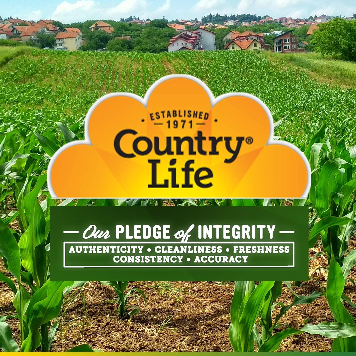 Country Life Vitamin D3, Non-Fish 1000 IU, 100 Softgels, Certified Glu