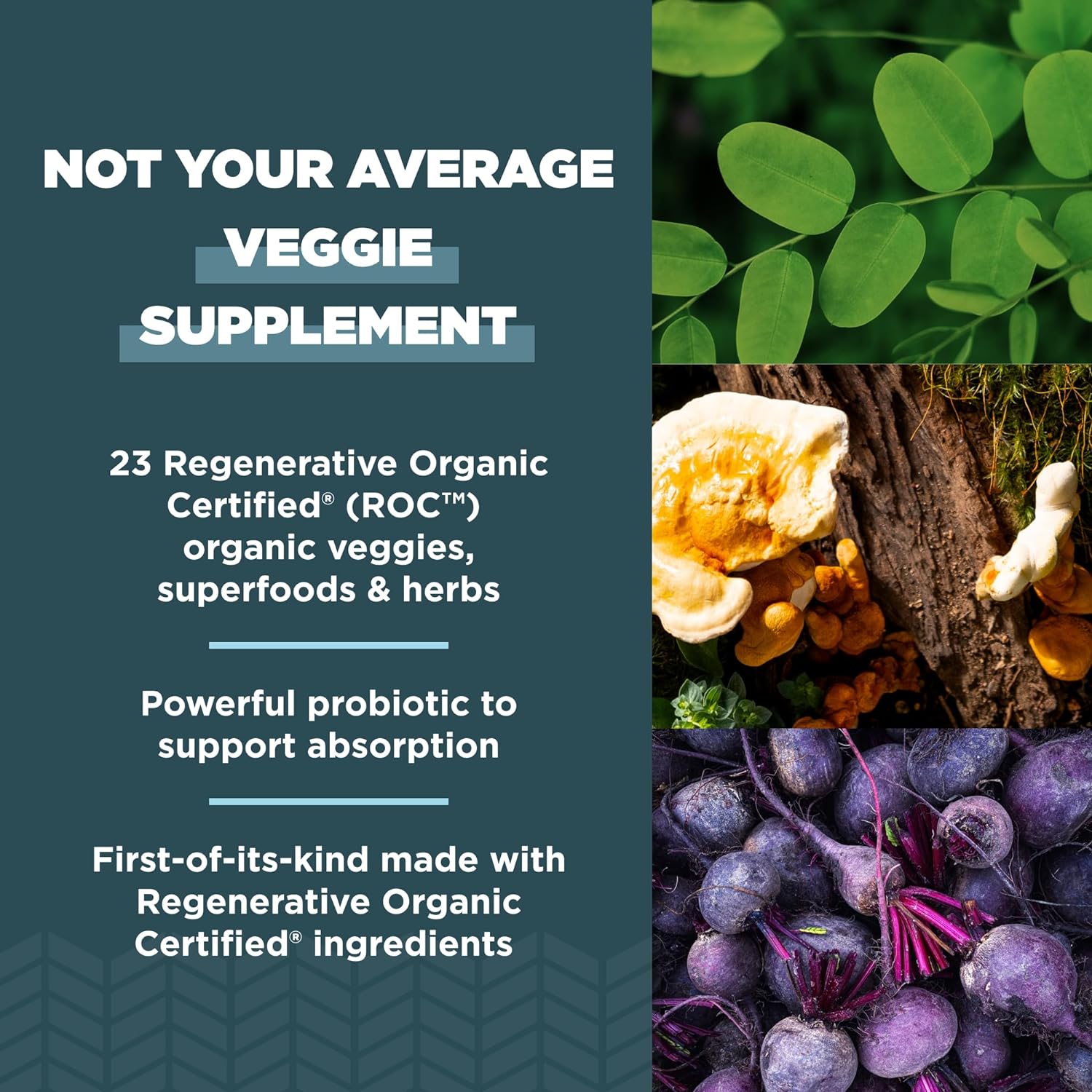 Ancient Nutrition Regenerative Organic Certified SuperVeggies Capsules