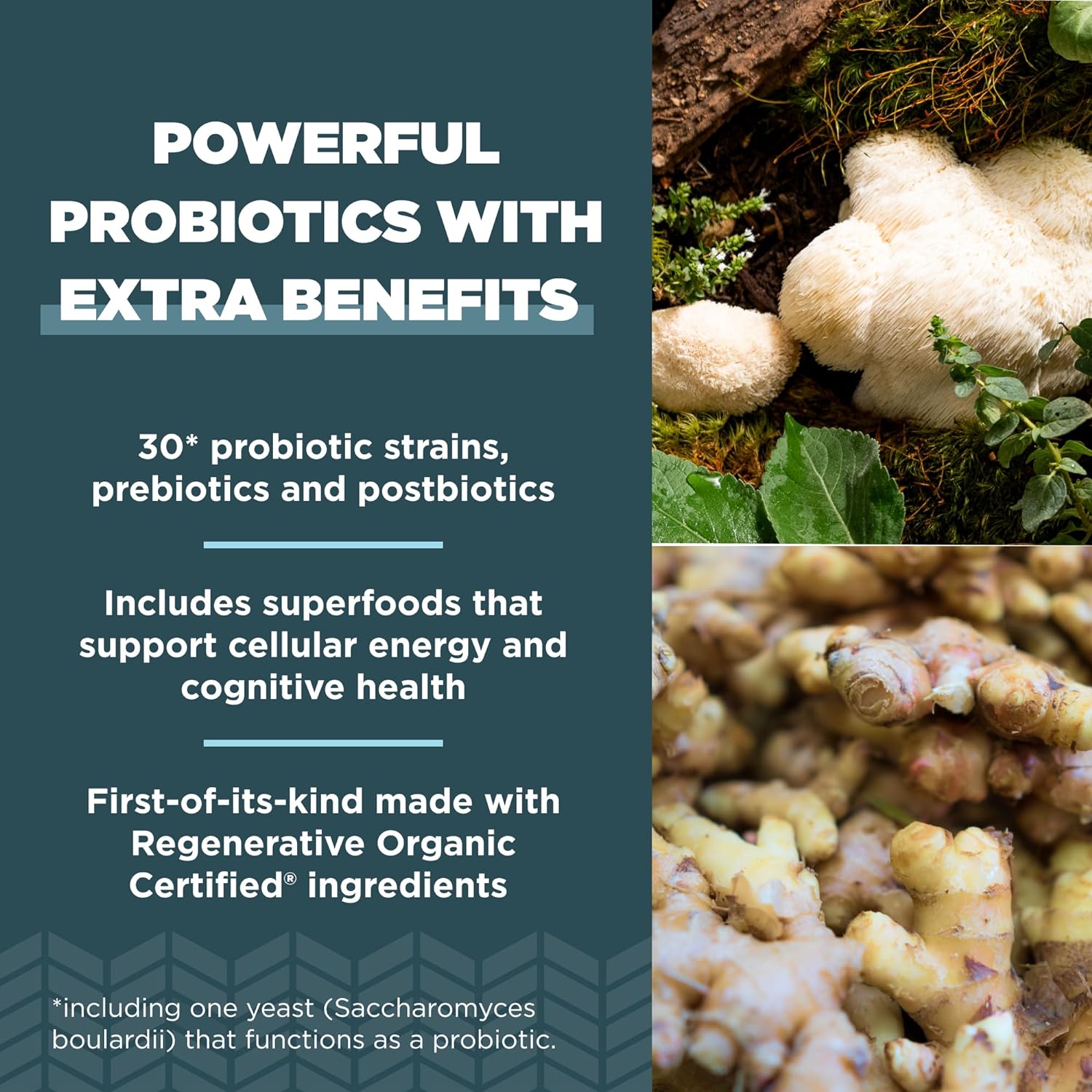 Ancient Nutrition Regenerative Organic Certified Probiotics, Extra Str